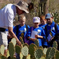 An adult shows children something on a prickly pear cactus. An adult shows children something on a prickly pear cactus.