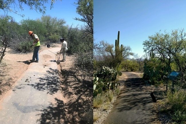 Desert Ecology Trail Repairs