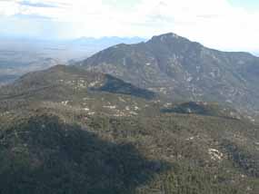 Evergreen covered mountains Evergreen covered mountains