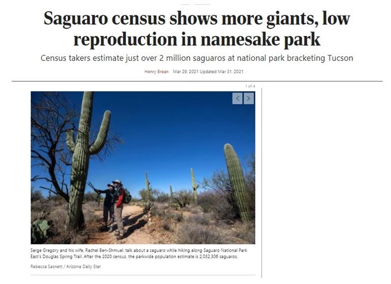 figure 10 2020 census A screen shot from a news article titled "Saguaro census shows more giants, low reproduction in namesake park." with small text below and an image of people counting saguaros.
