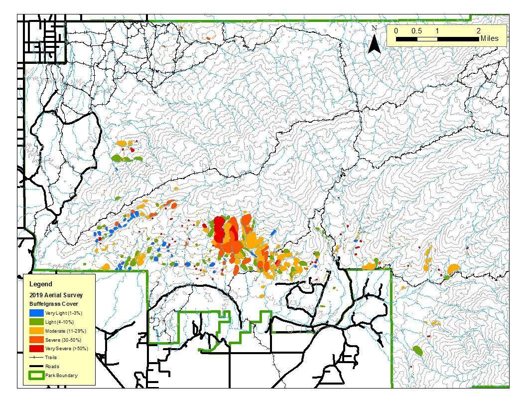 Map of the Rincon Mountain District showing percentage of buffelgrass coverage with red, orange, yellow, green, and blue dots.