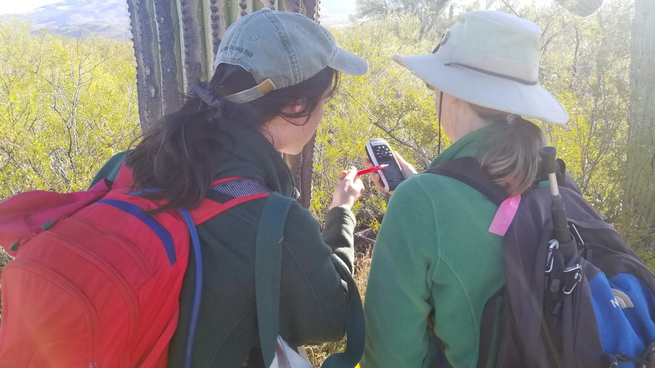 Understanding how to read the coordinates of a saguaro A woman explaining to another woman what she is seeing on the gps device.
