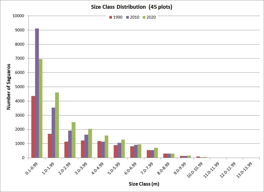 figure 7 2020 census A bar graph titled "Size Class Distribution" with size ranges from 0.1m to 13.99m. A roughly exponential decrease is shown from smallest size range to biggest.