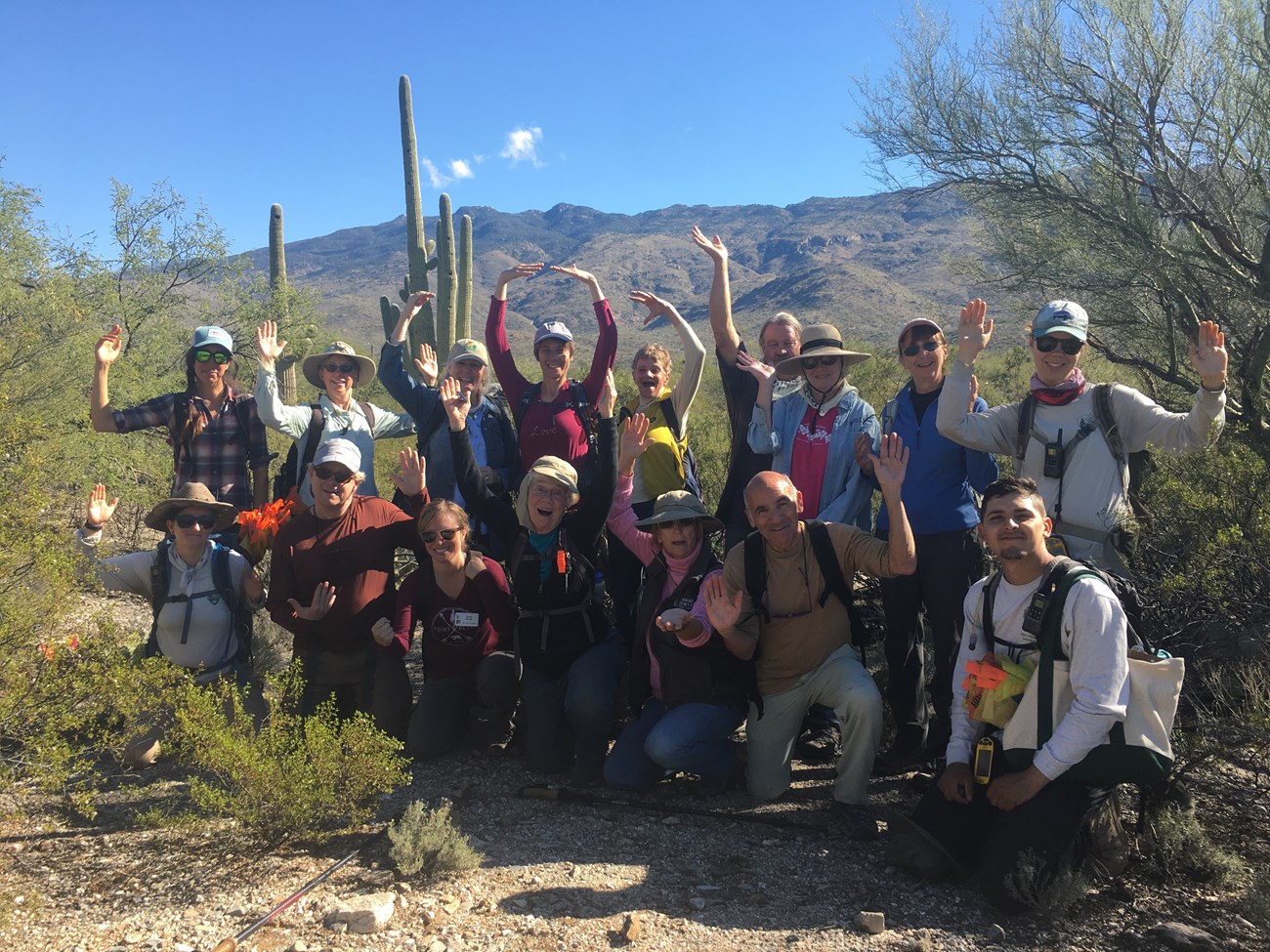 Sky Island Alliance volunteer group posing like saguaros