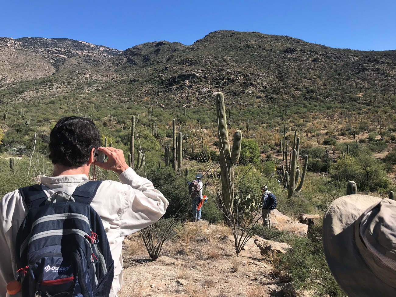 A man looking through a clinometer to find the height of a saguaro