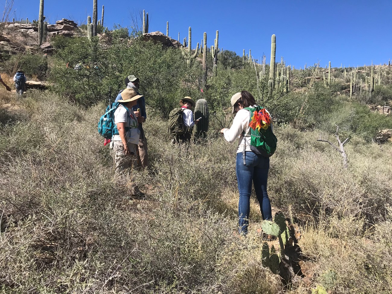Two volunteers conversing, while one volunteer writes down data and the other one finds the coordinate of a saguaro