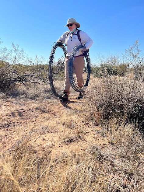 A volunteer walks through the desert holding two rolls of barbed wire that have been removed. They are wearing gloves and smiling.