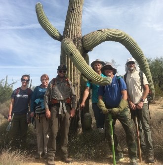 A group of volunteers poses proudly with their tools next to a saguaro cacti. The saguaro has arms that are curved to look like they are hugging the people.