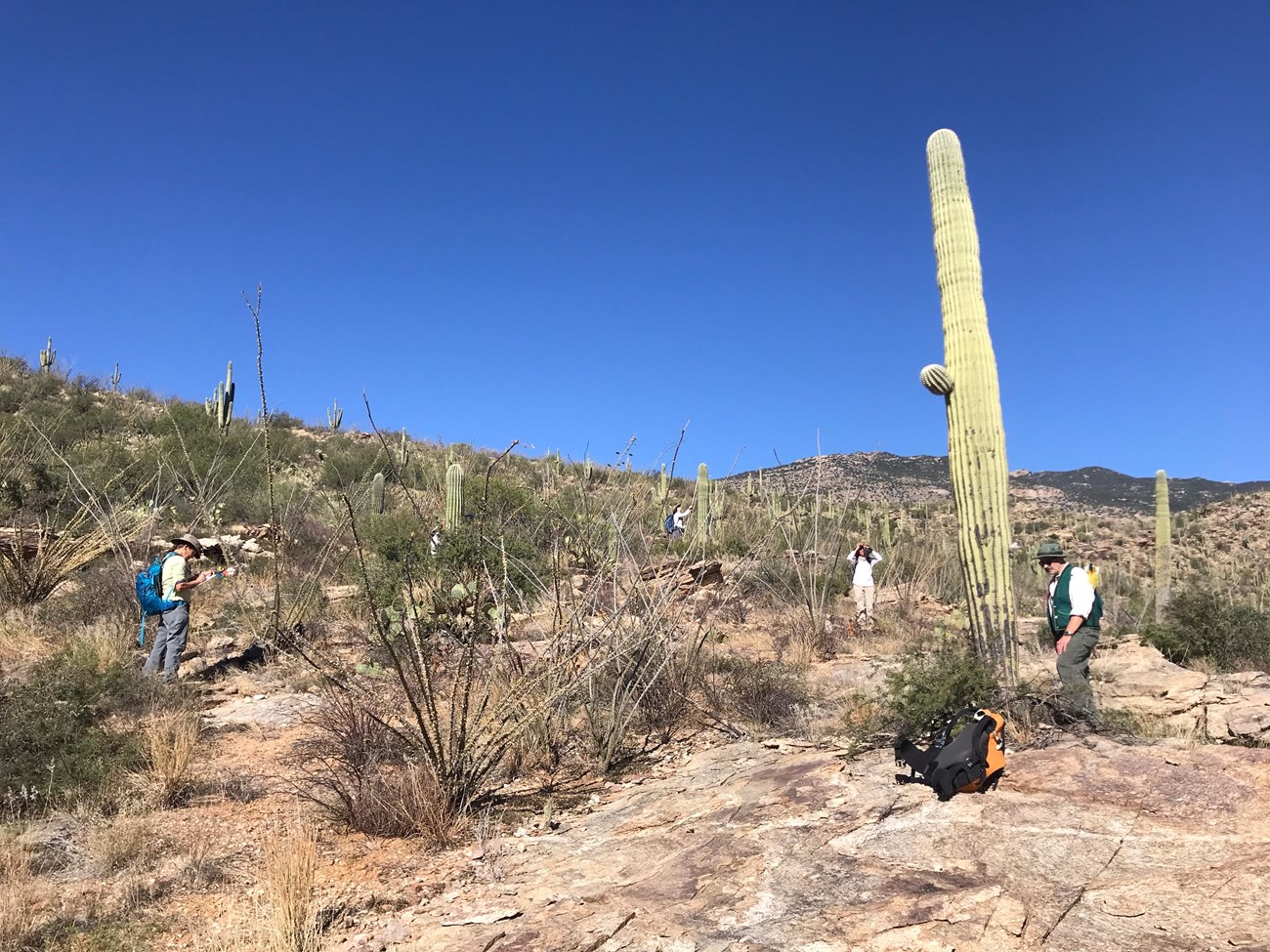 Volunteers out in the desert