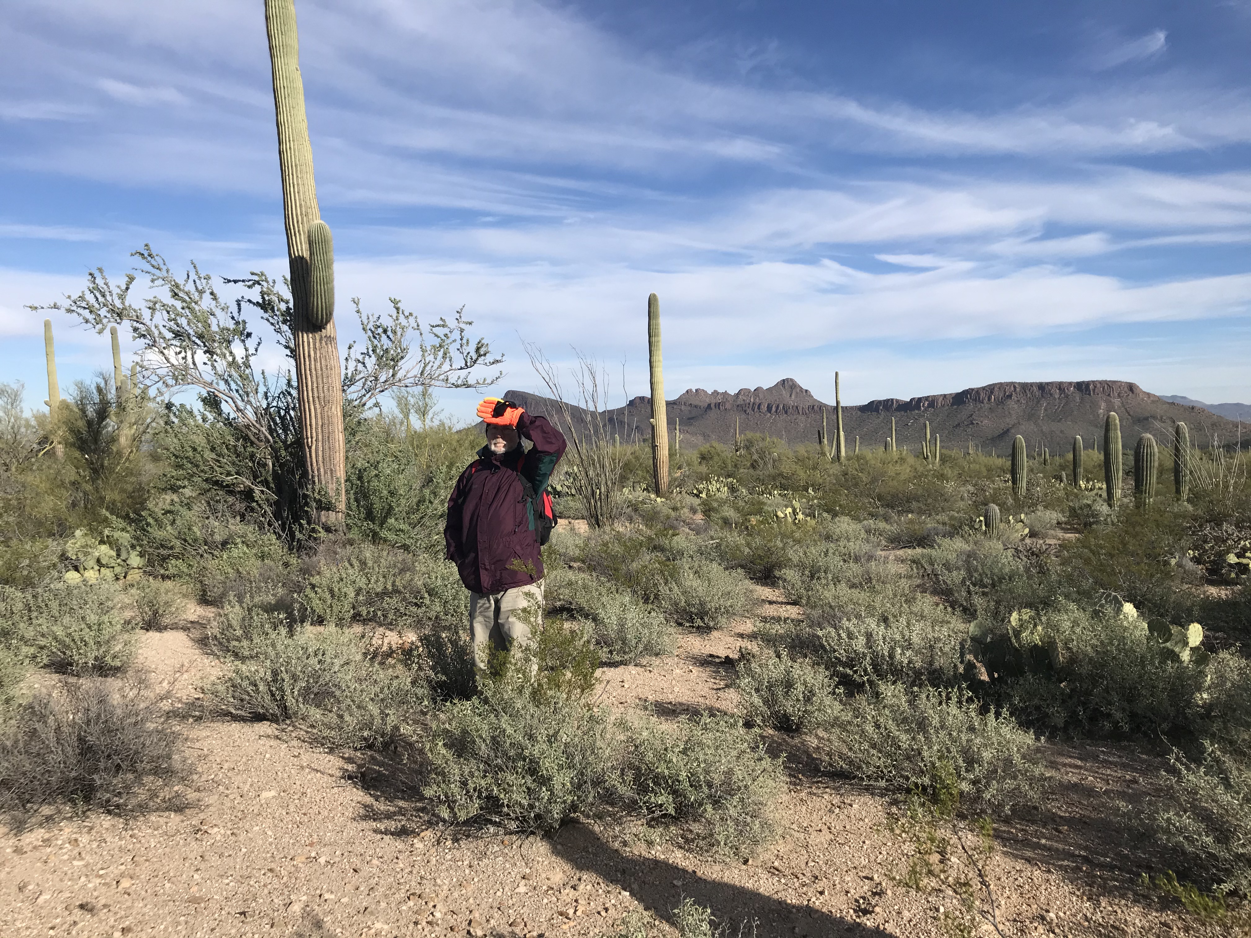 Volunteer shields face from the desert sun