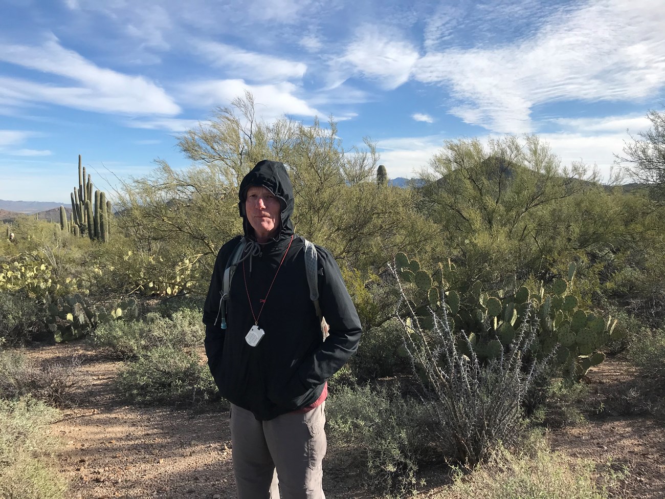 Volunteer on saguaro plot