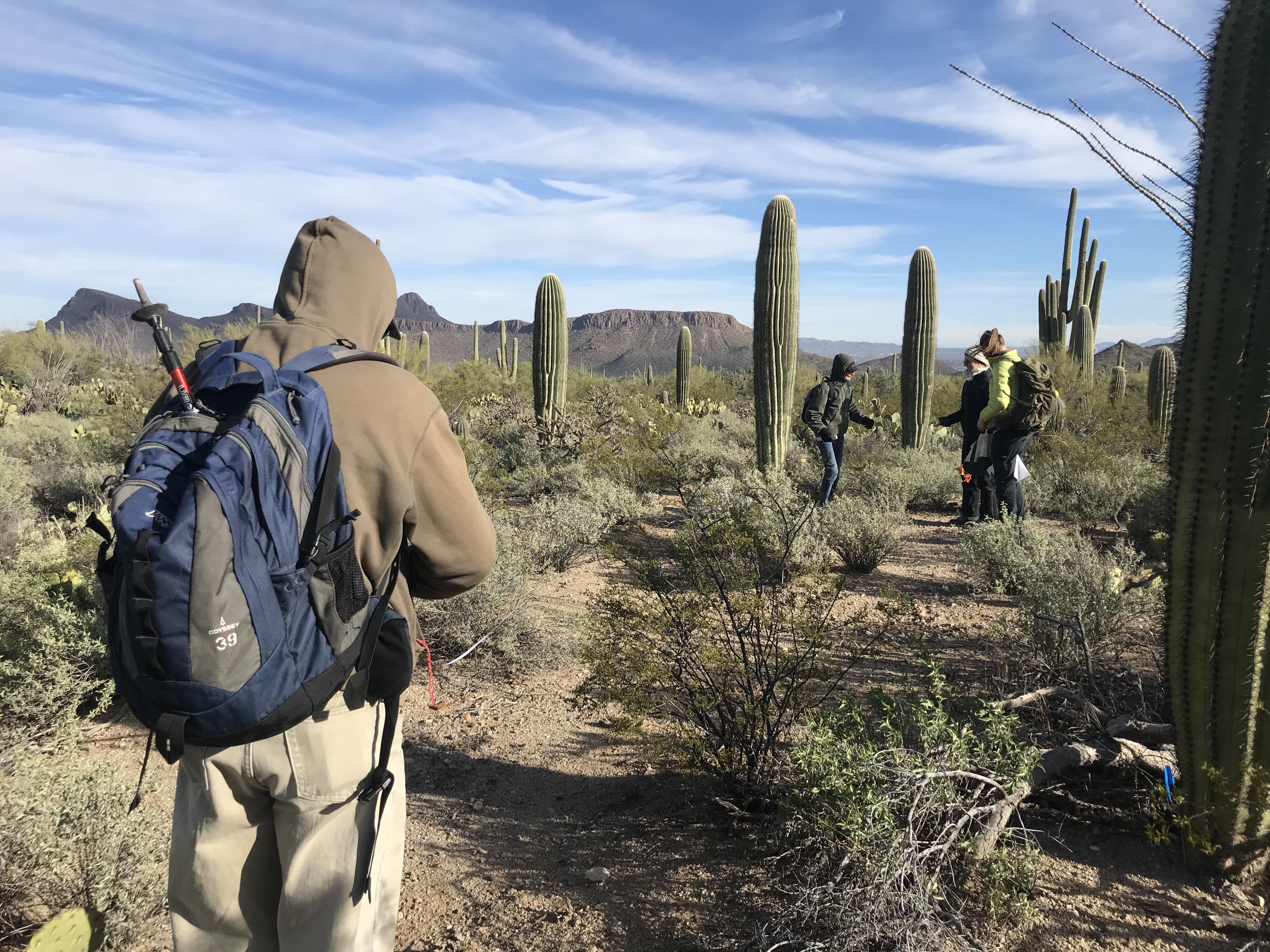 Volunteers work together to collect field data