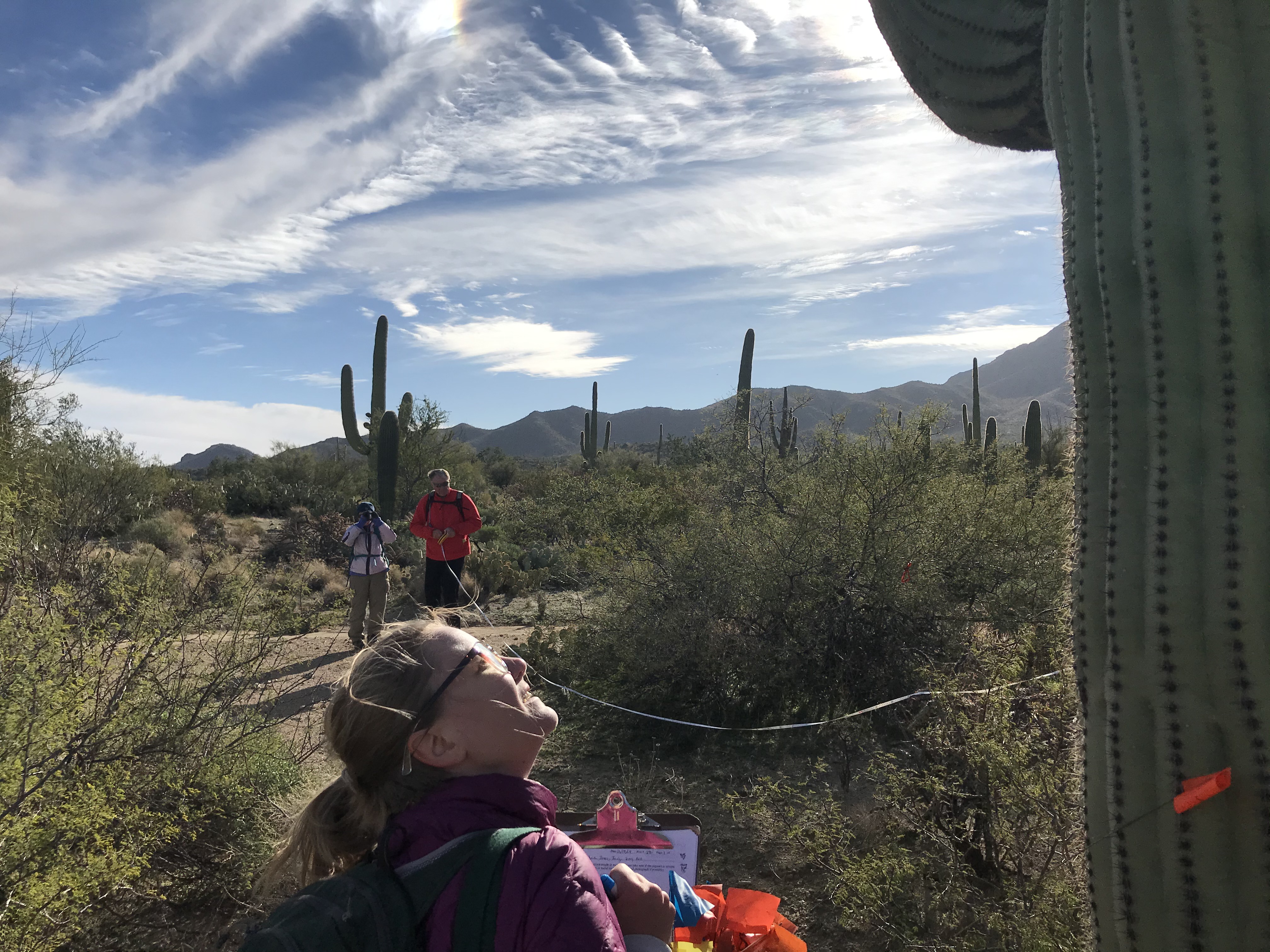 Volunteers work together to collect field data