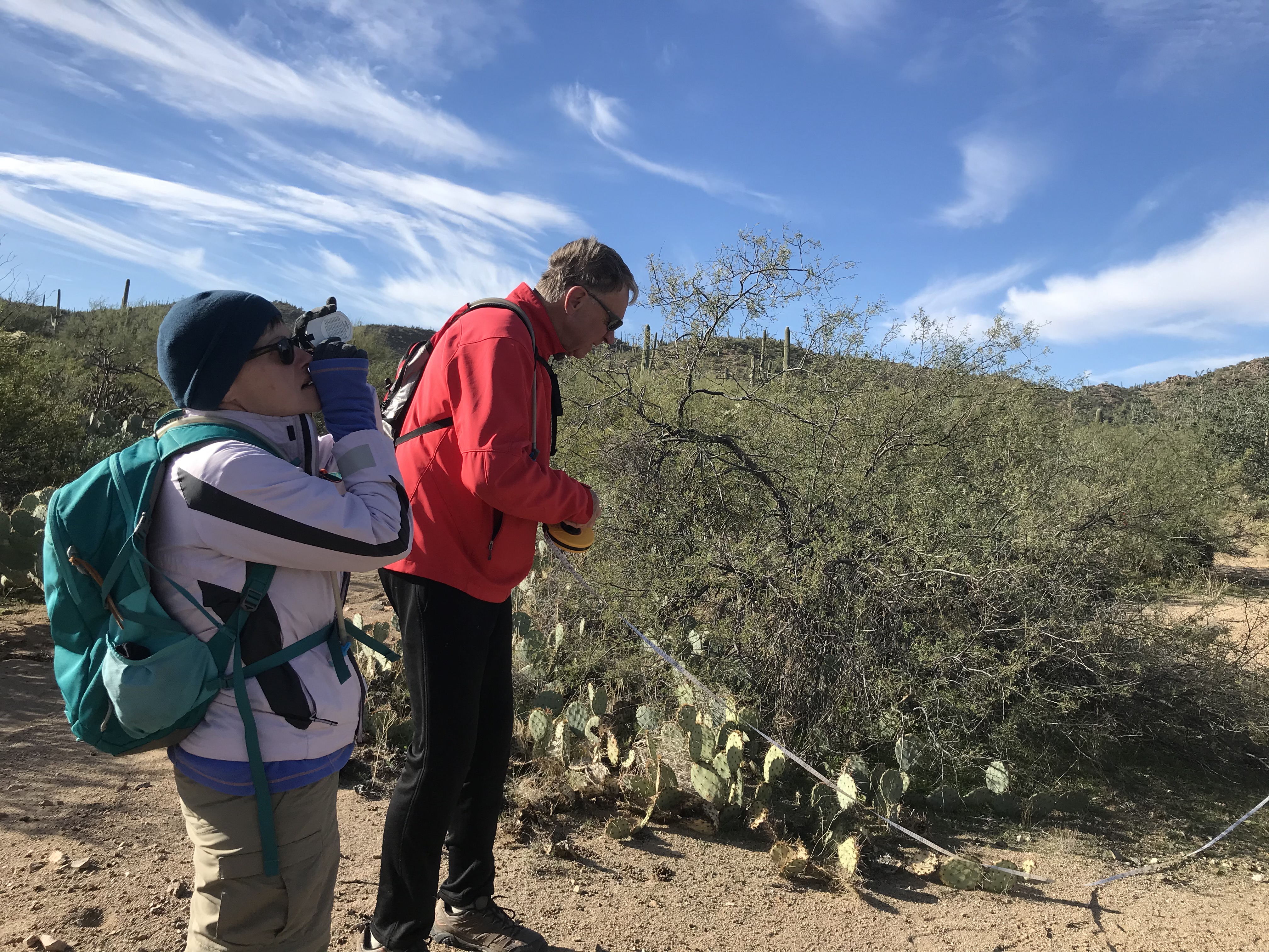 Volunteers work together to collect field data