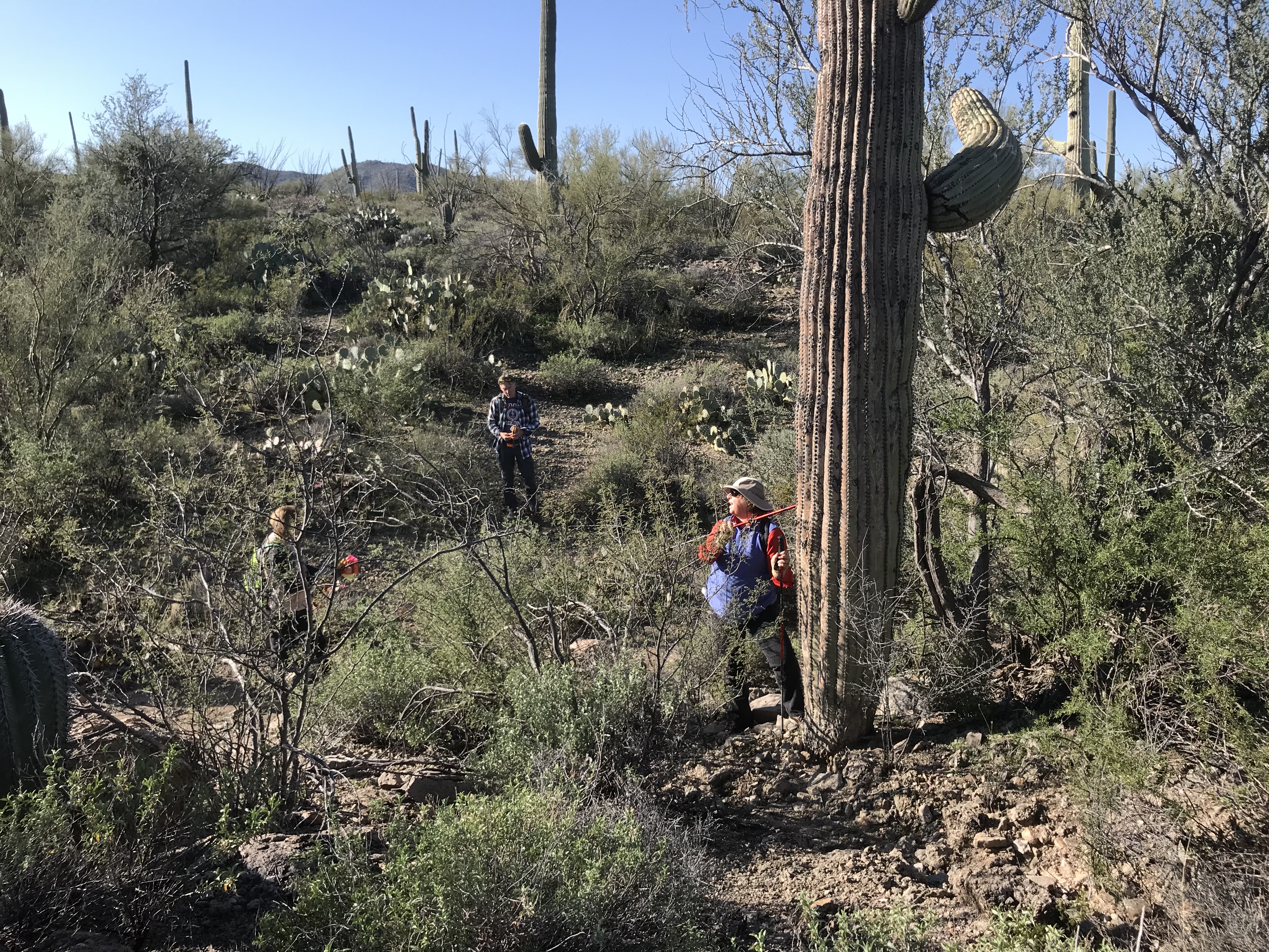 Volunteers on plot 32.