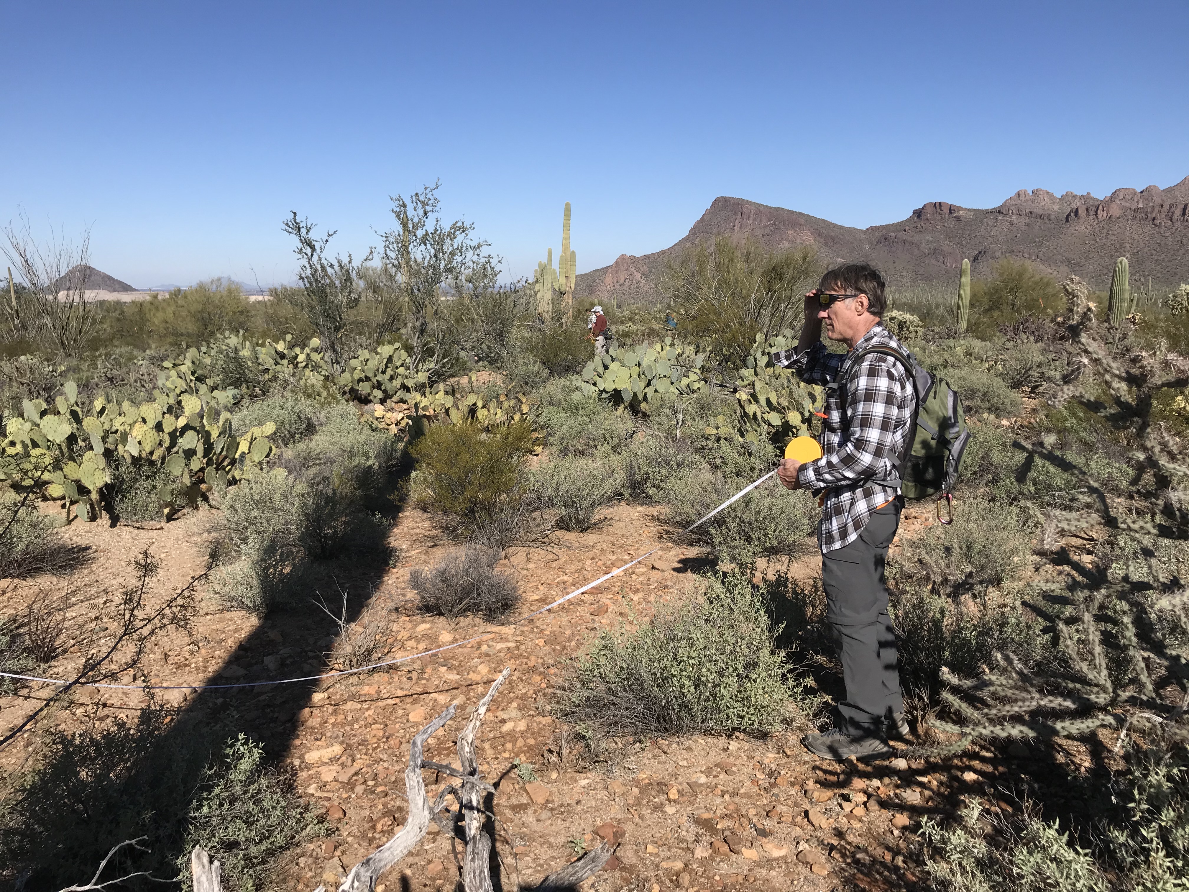 A volunteer holding a measuring tape.