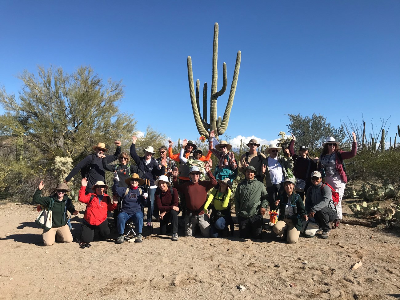 Volunteers and park staff posing like a saguaro.