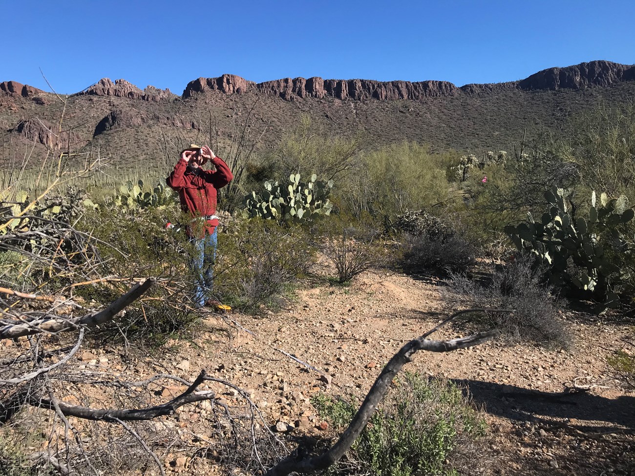A man using a clinometer.