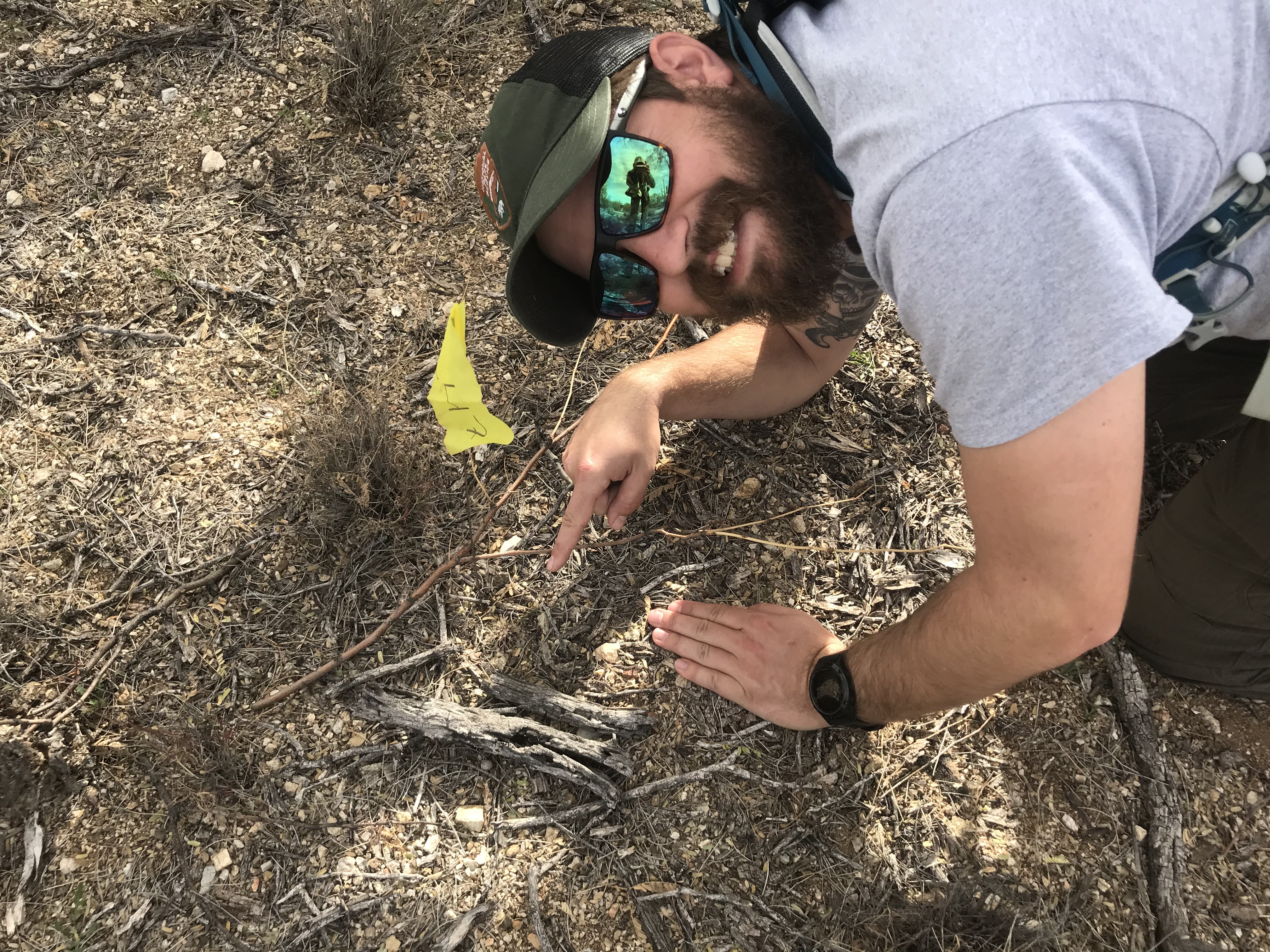 A man smiling and pointing at a tiny saguaro on the ground.