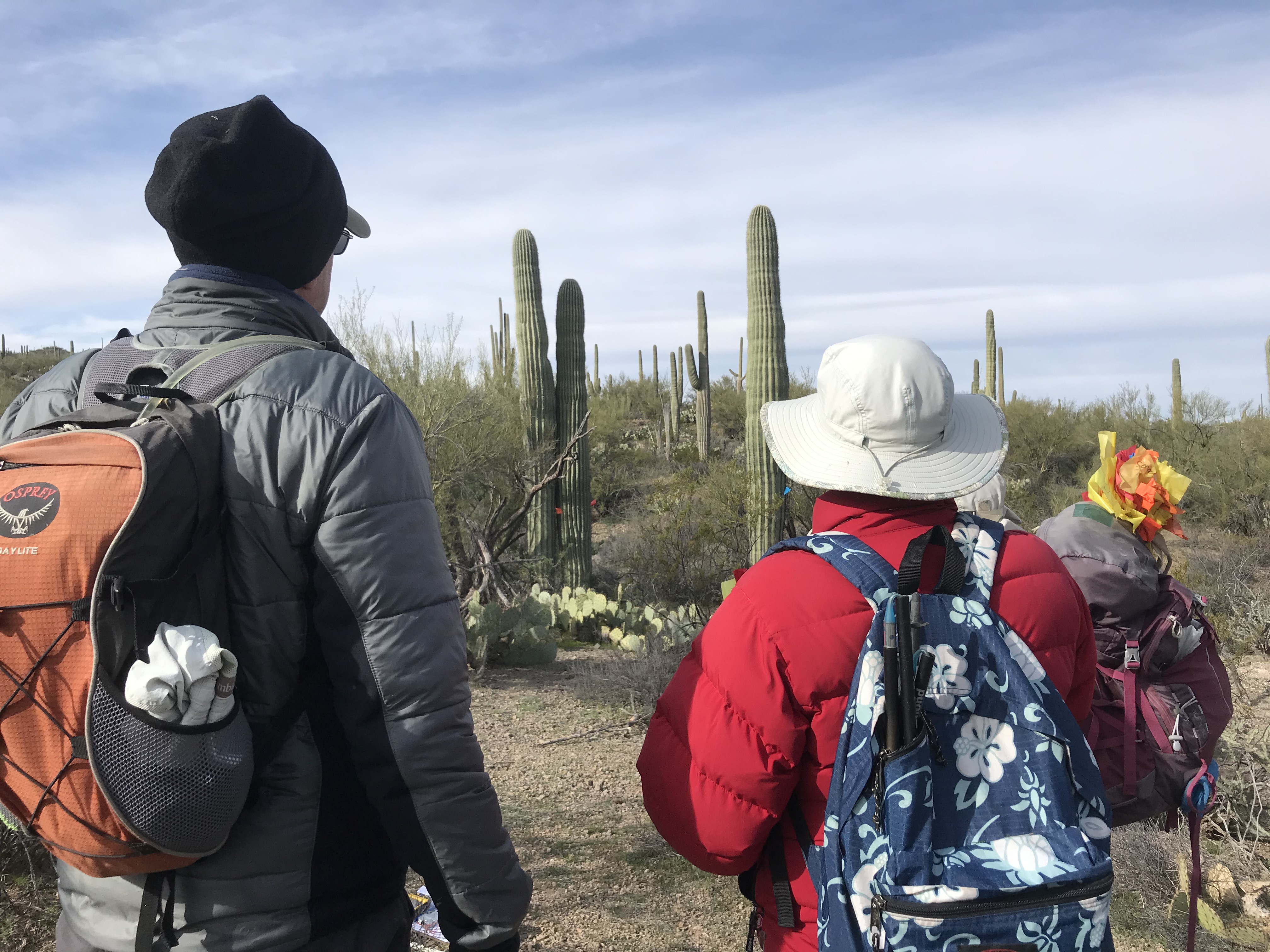 Volunteers looking out into the desert