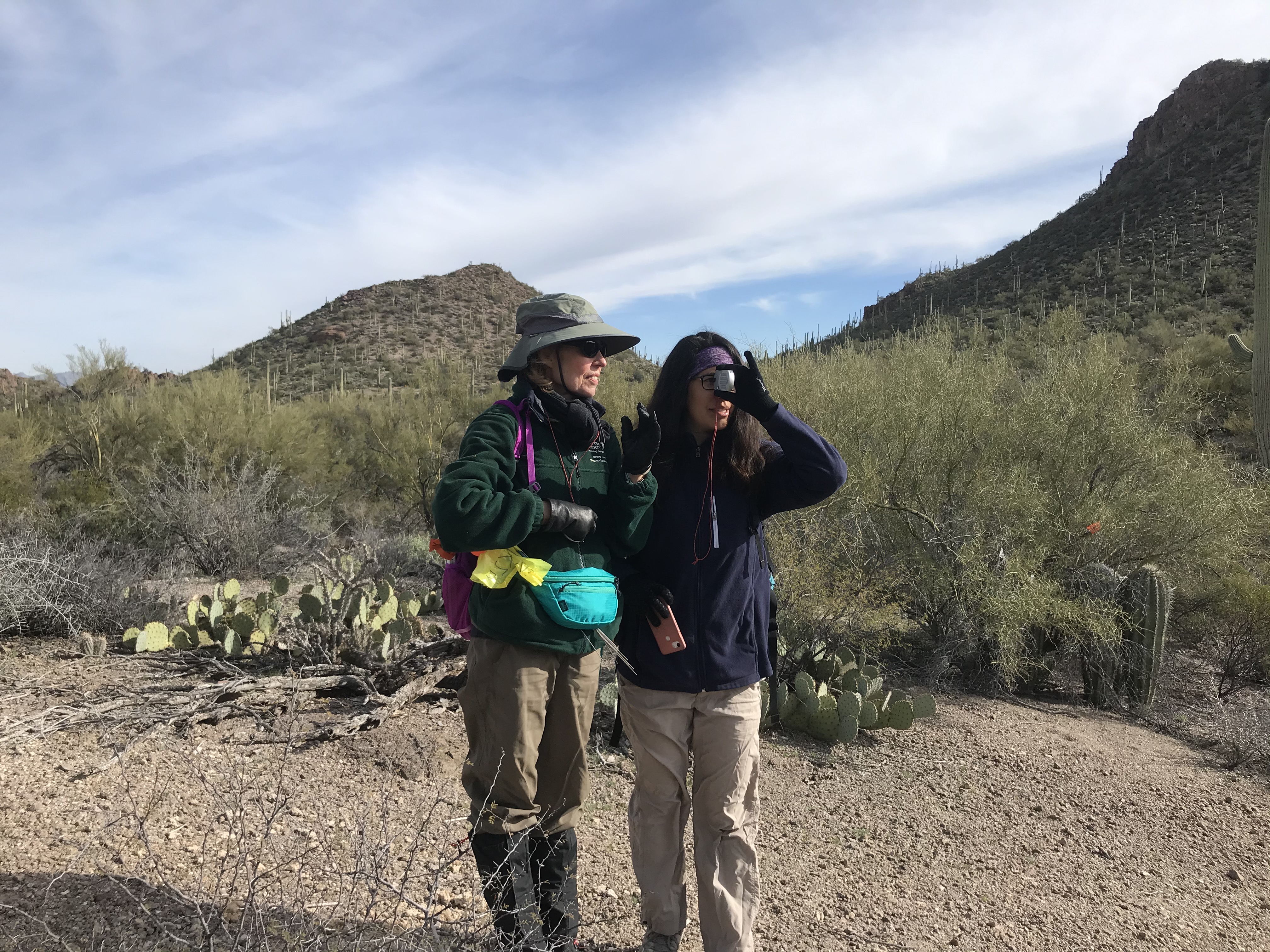 Park staff and volunteers work together to collect field data