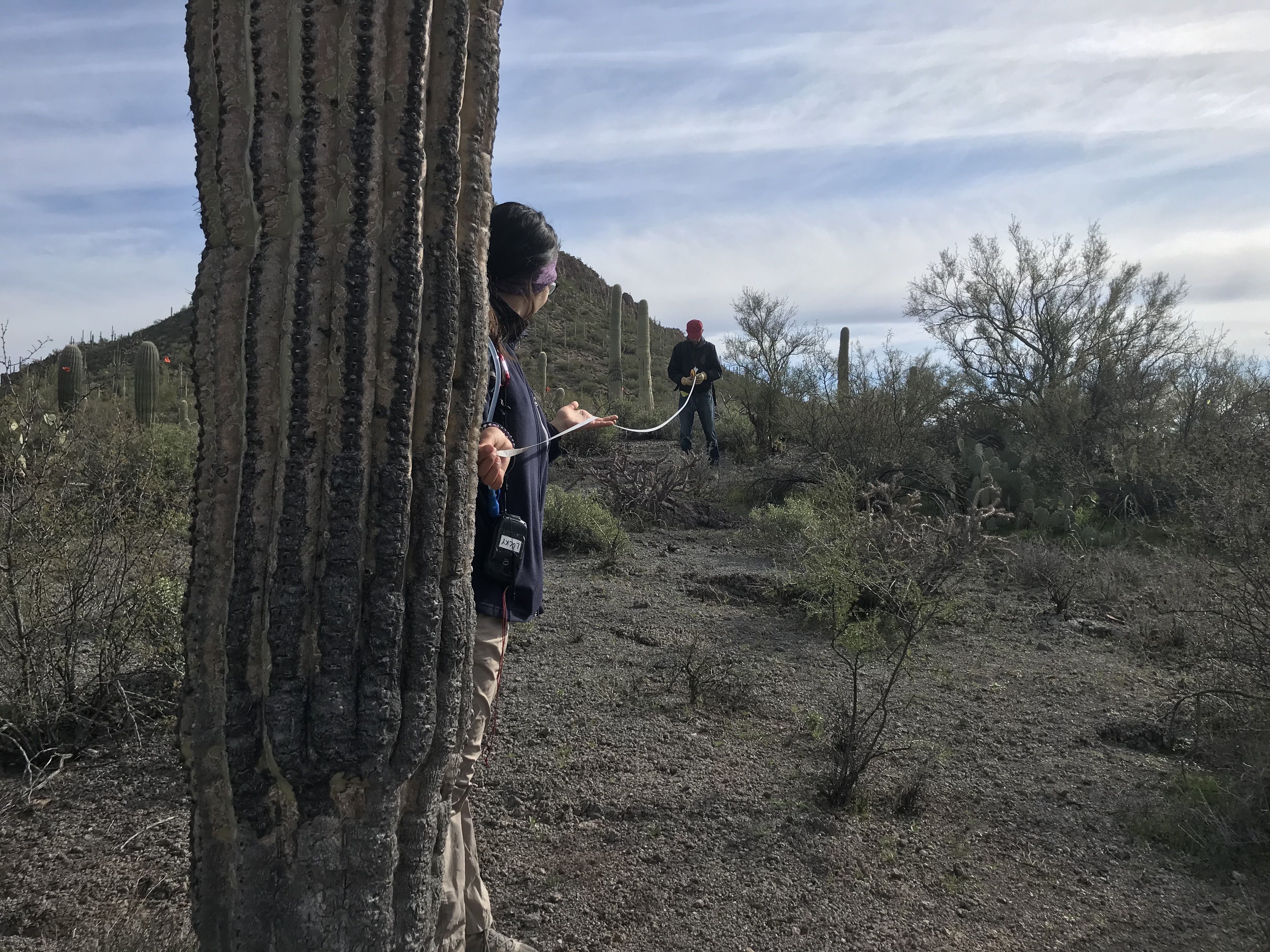 Park staff and volunteers work together to collect field data