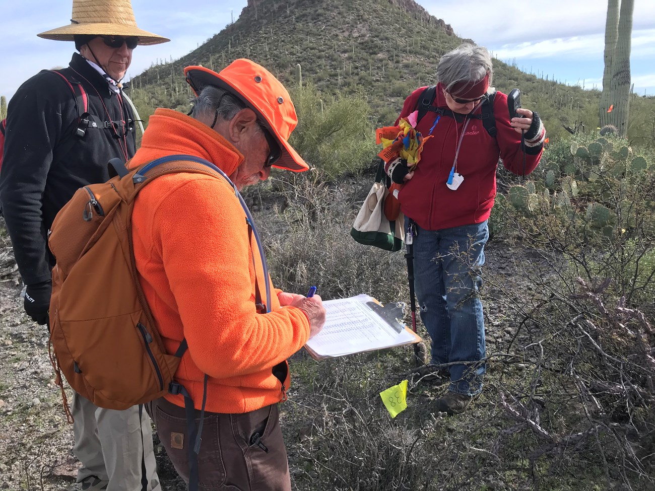 Volunteers collecting field data