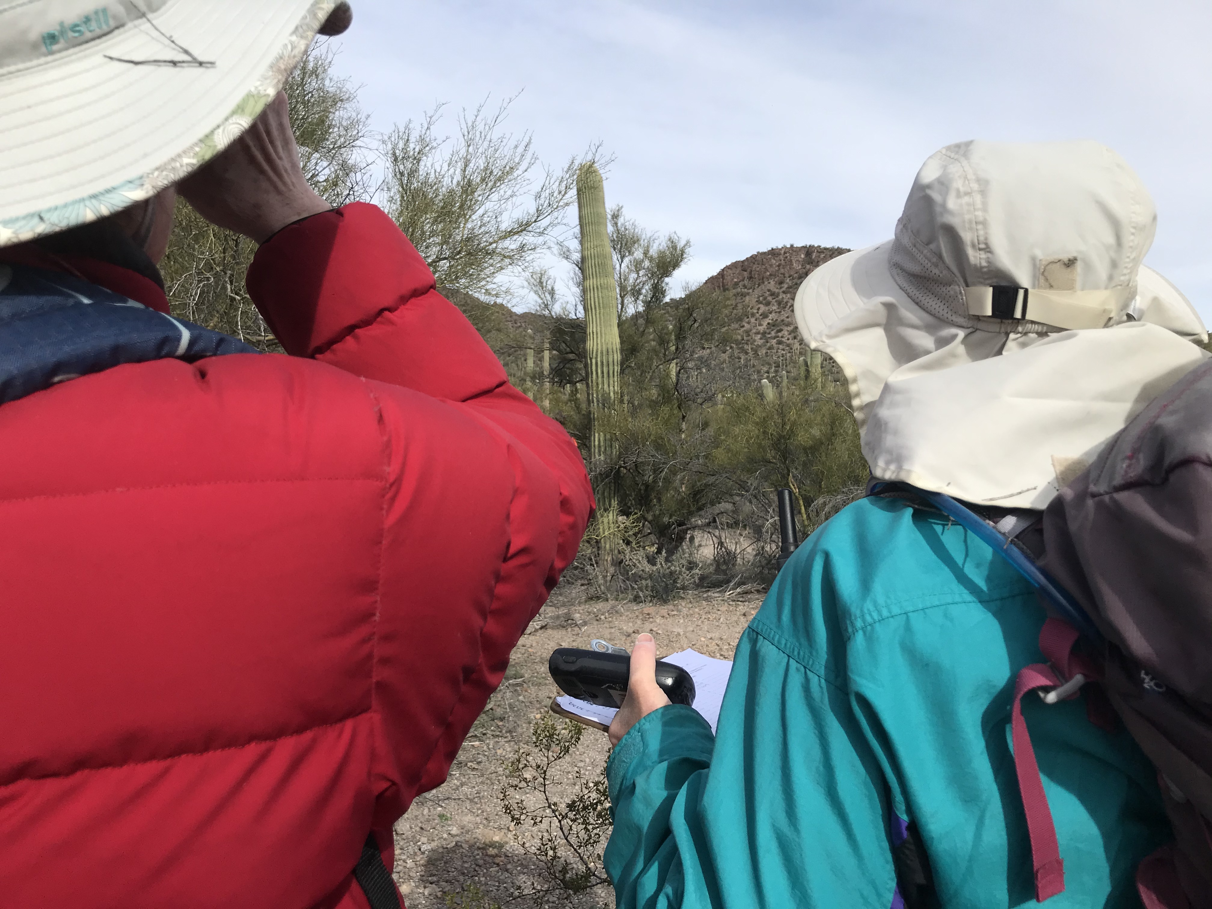 Volunteers collecting field data