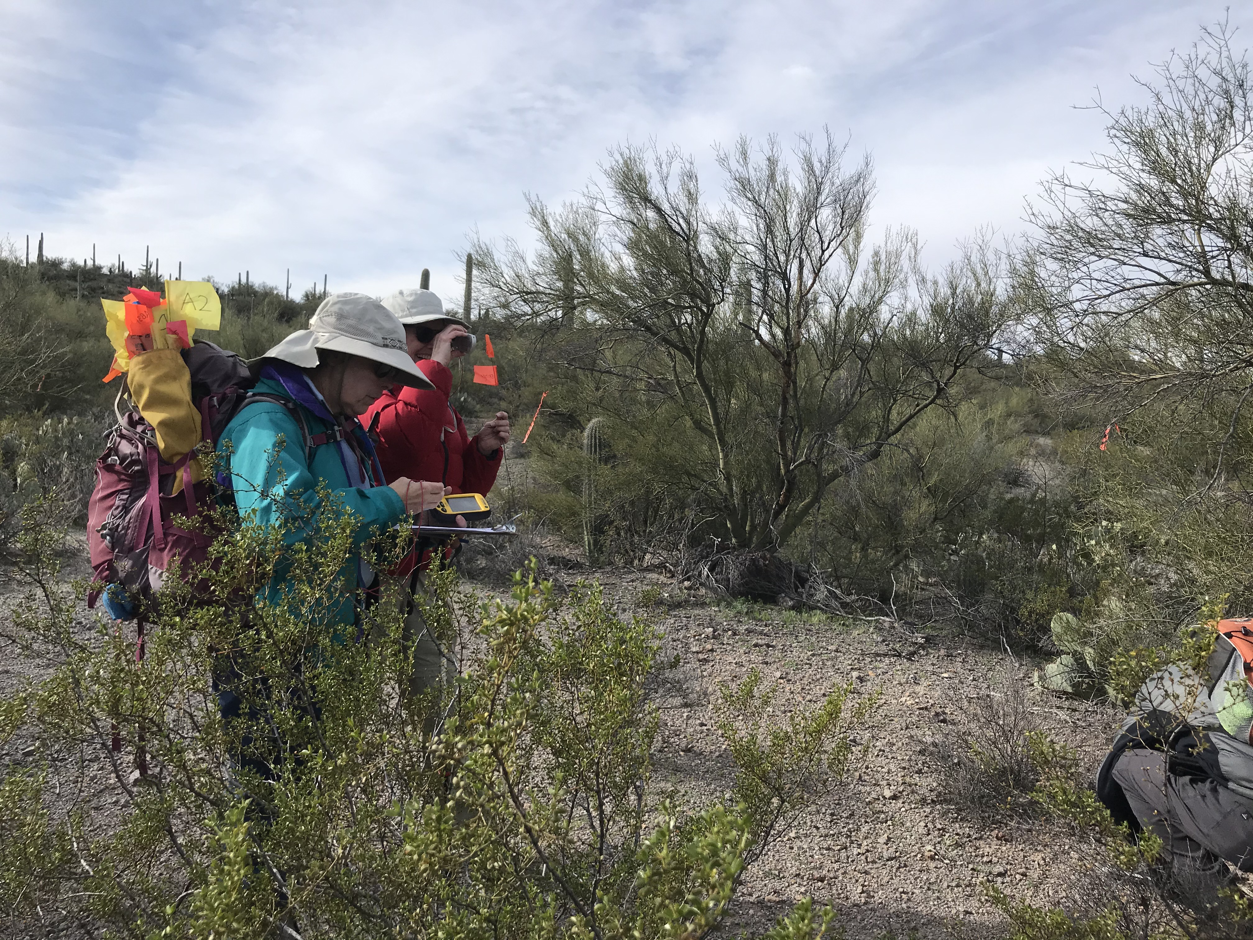 Volunteers use clinometer and GPS to collect data