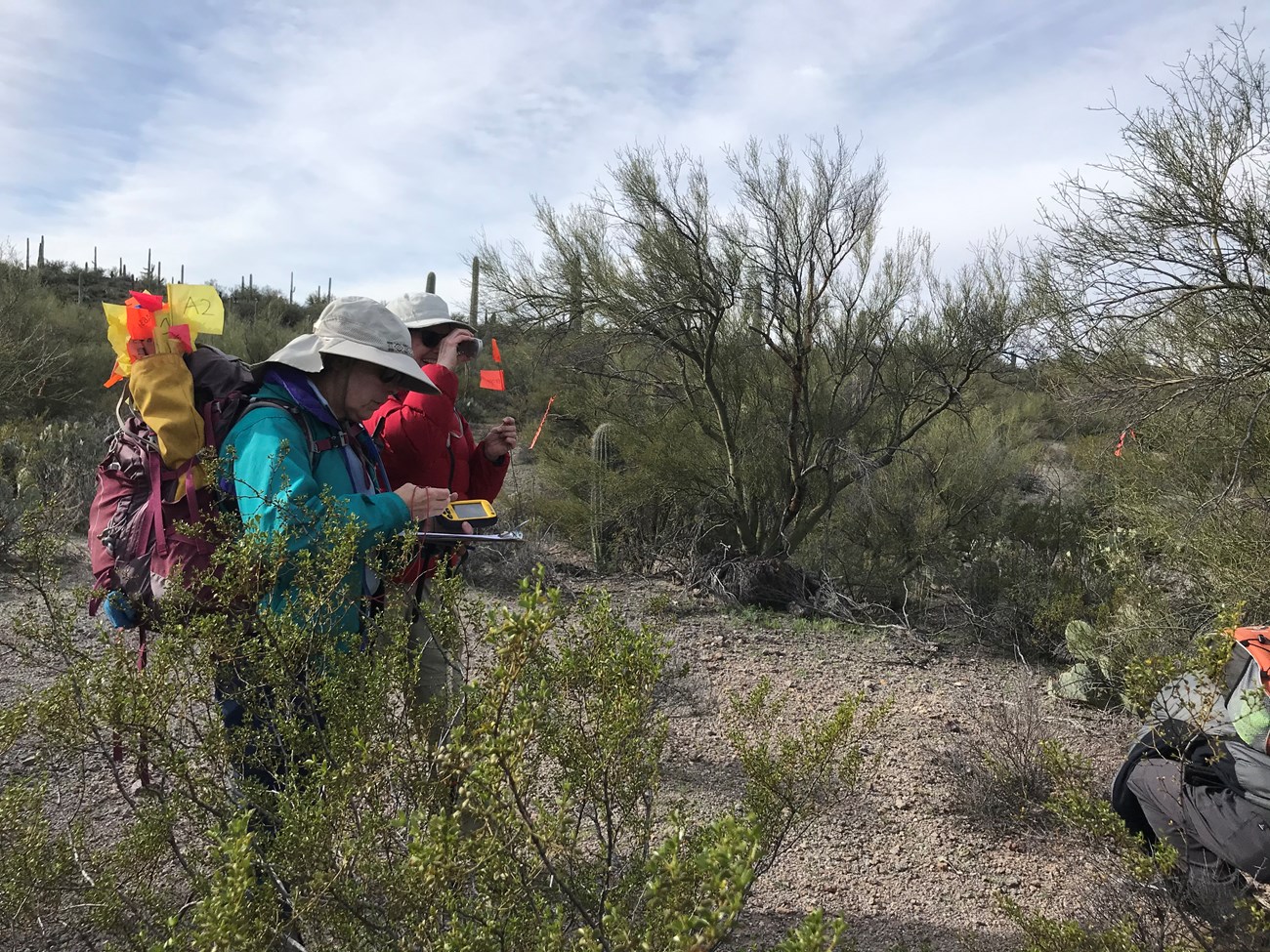 Volunteers use clinometer and GPS to collect data
