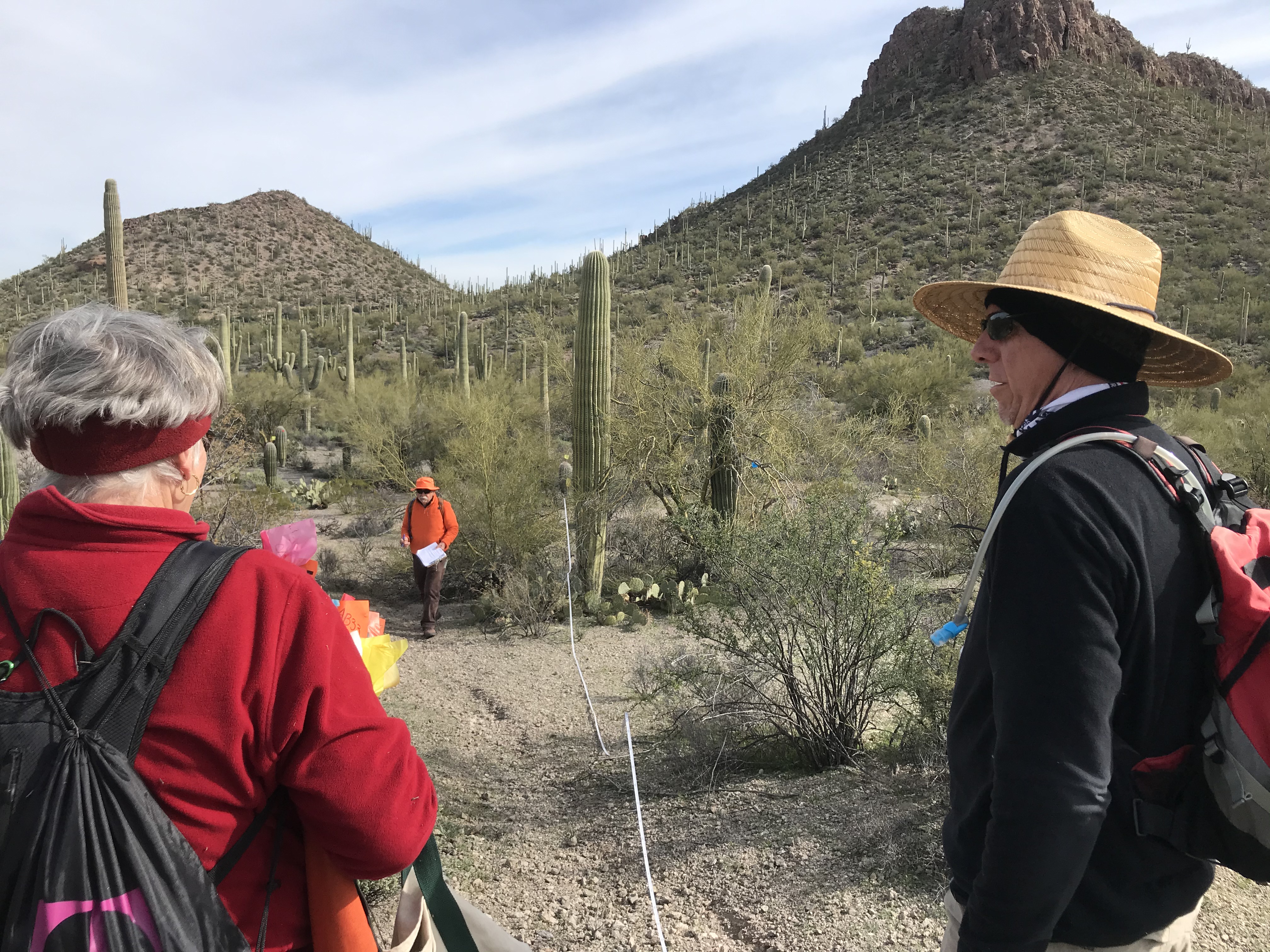 Volunteers collecting field data