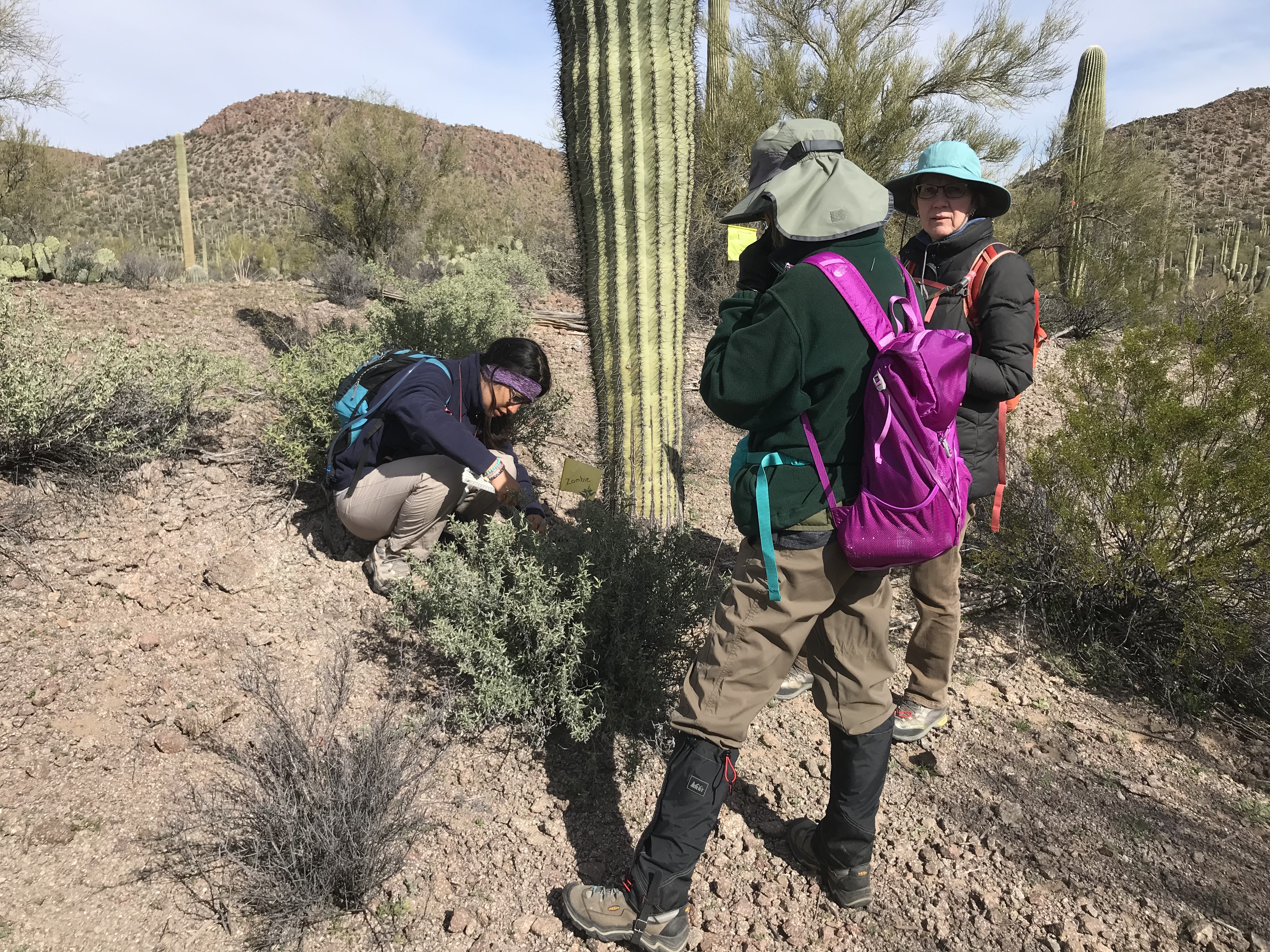 Park staff and volunteers work together to collect field data