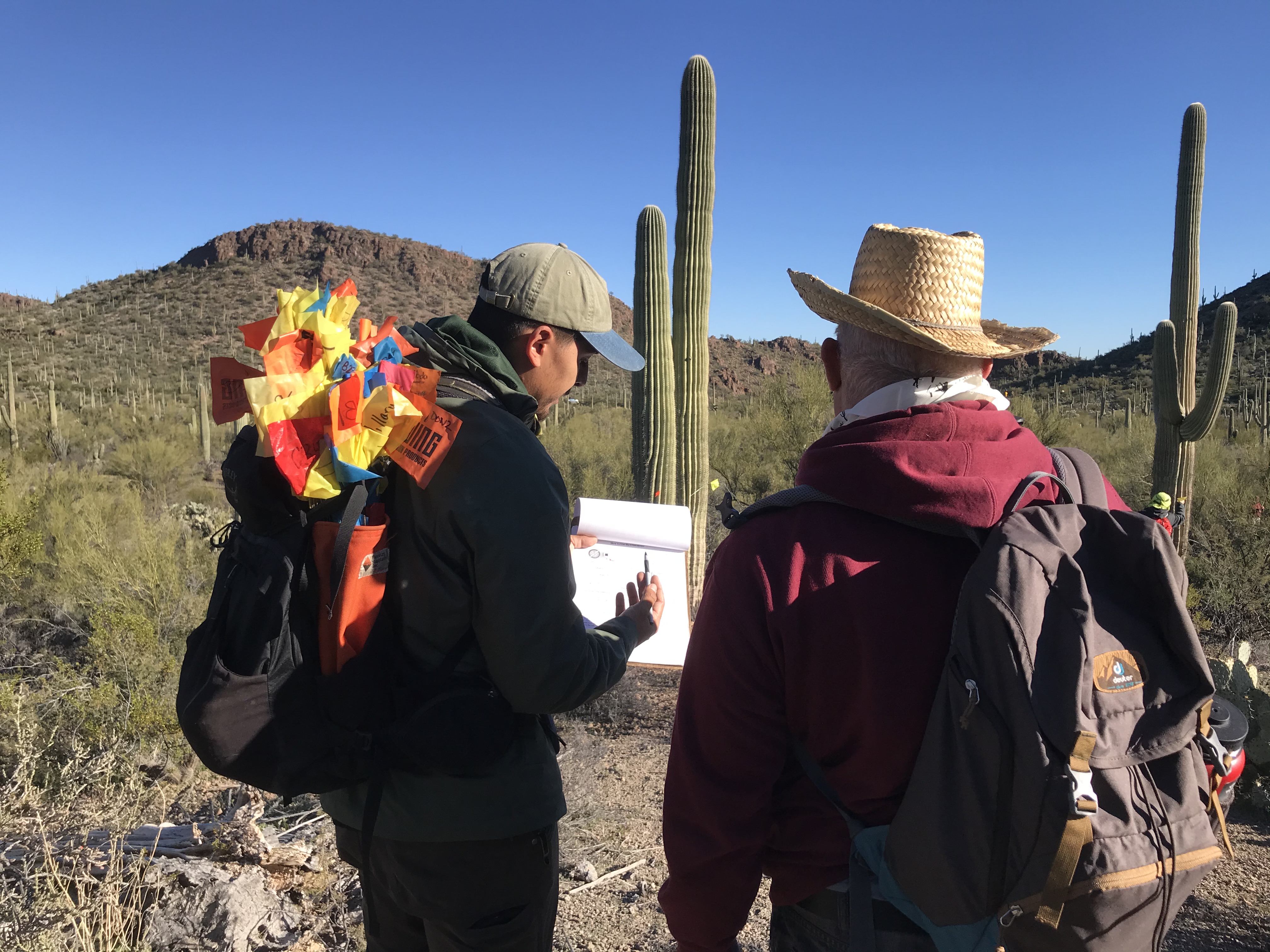 Park staff and volunteers work together to collect field data