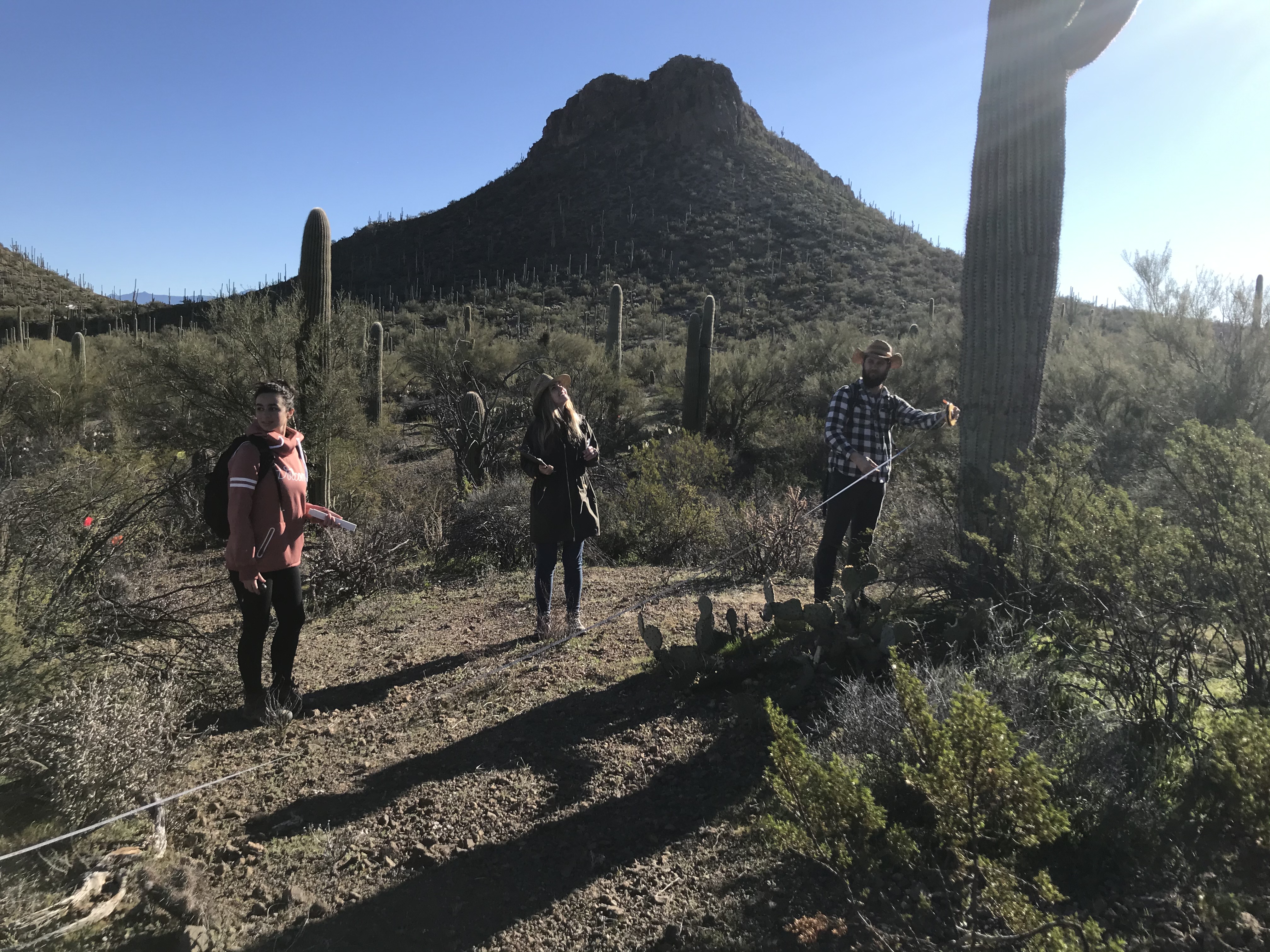 Volunteers work together to collect field data