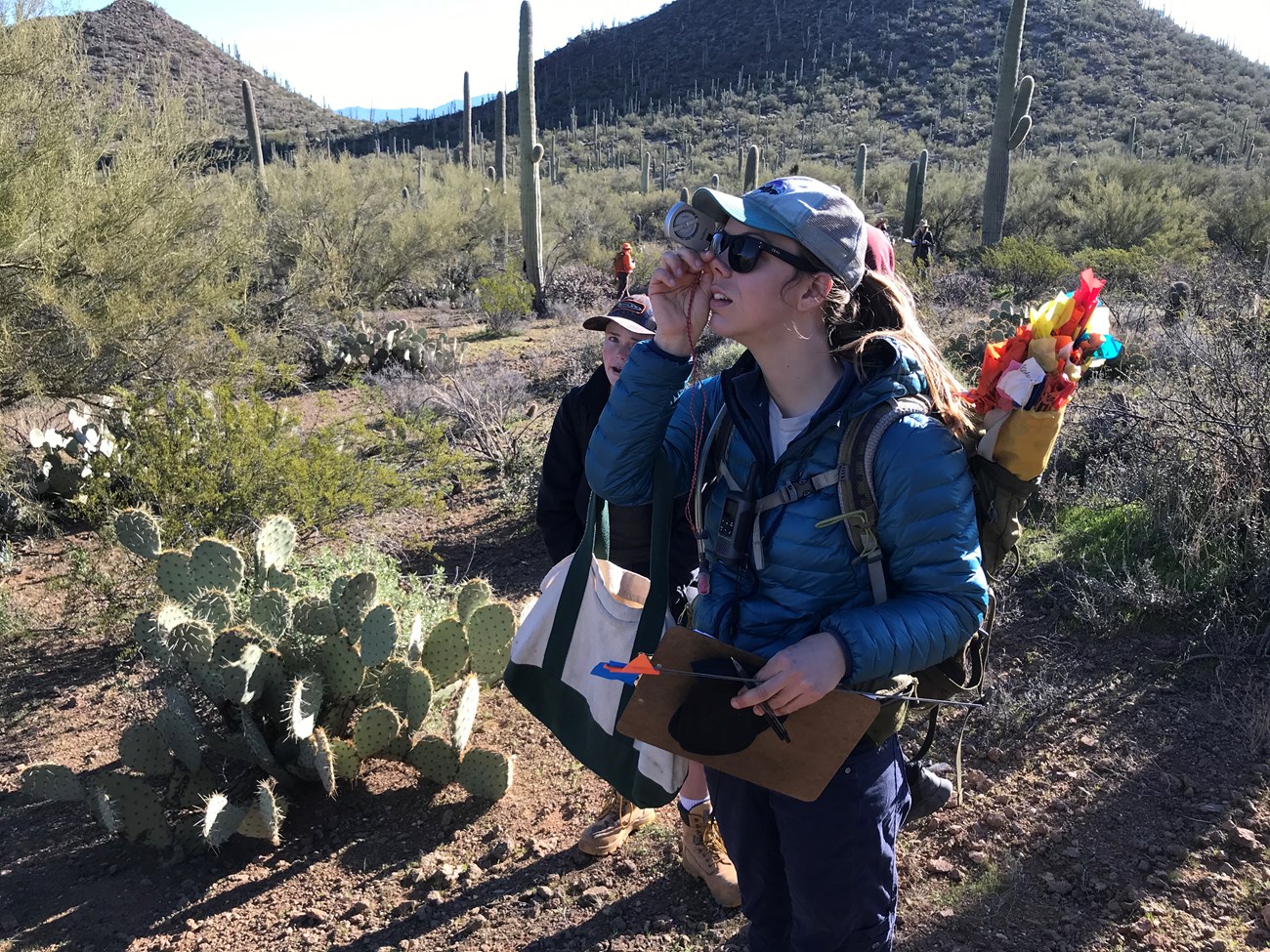 Park staff and volunteers work together to collect data
