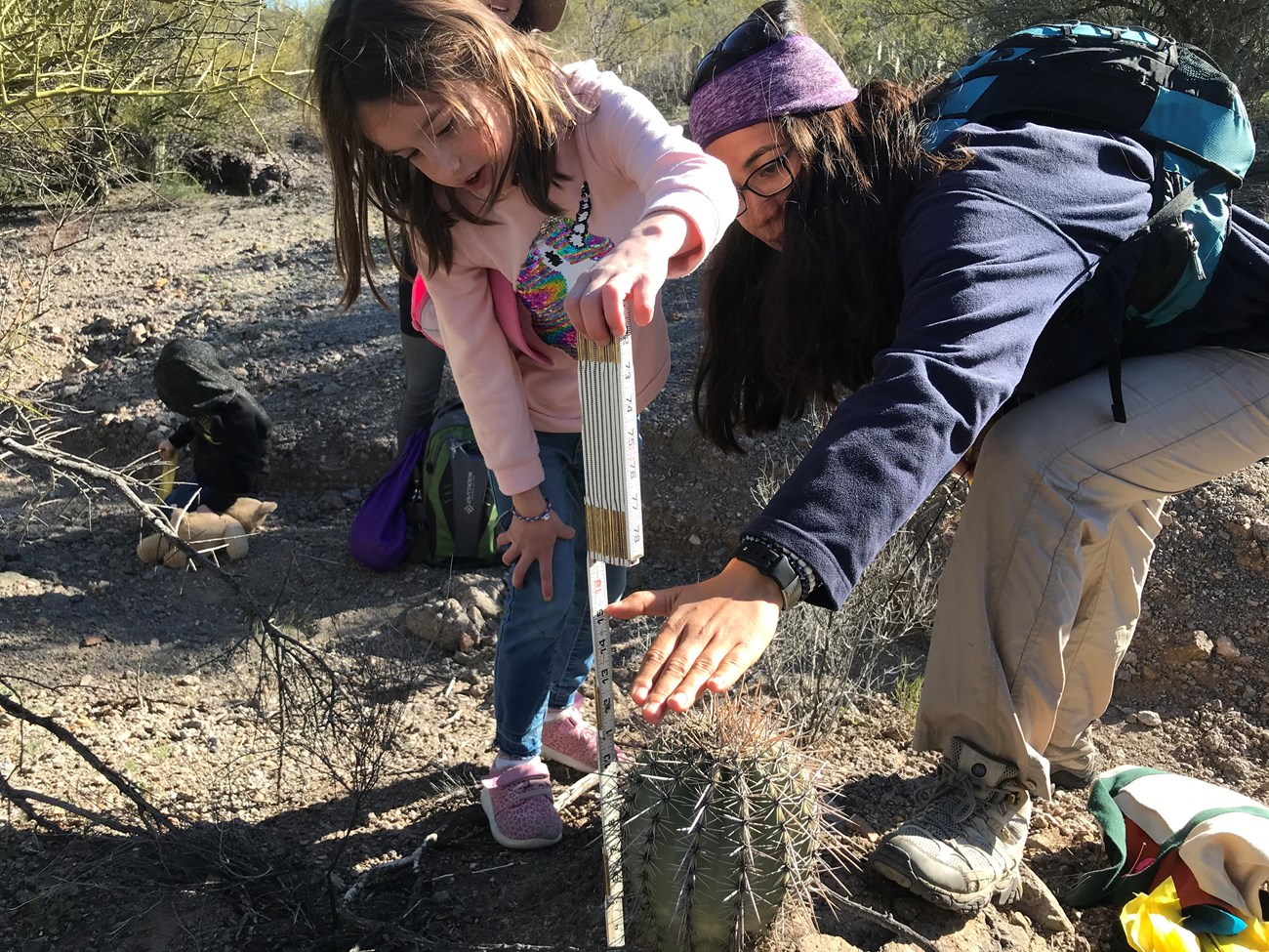 Park staff helps young volunteer with measuring small saguaro
