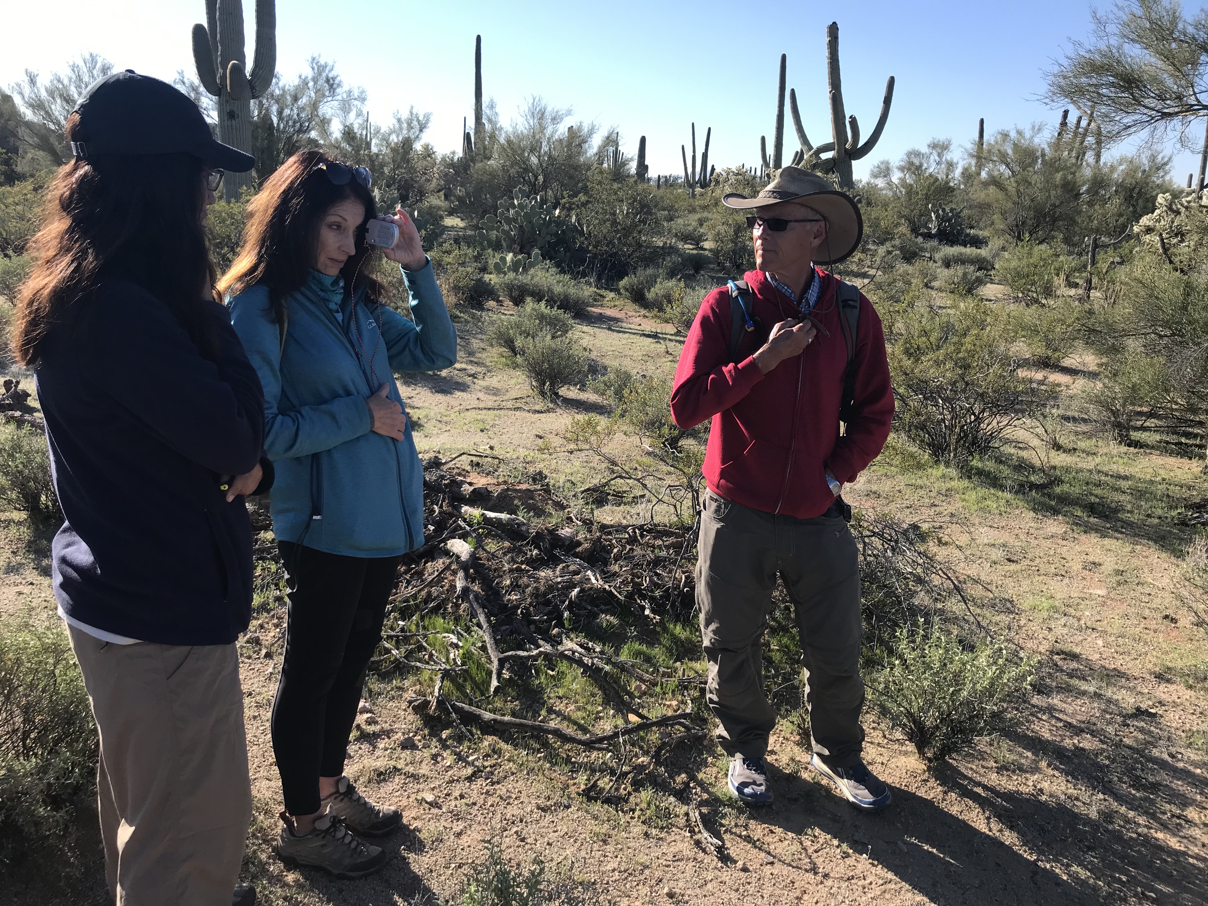 Volunteer uses clinometer to measure saguaro