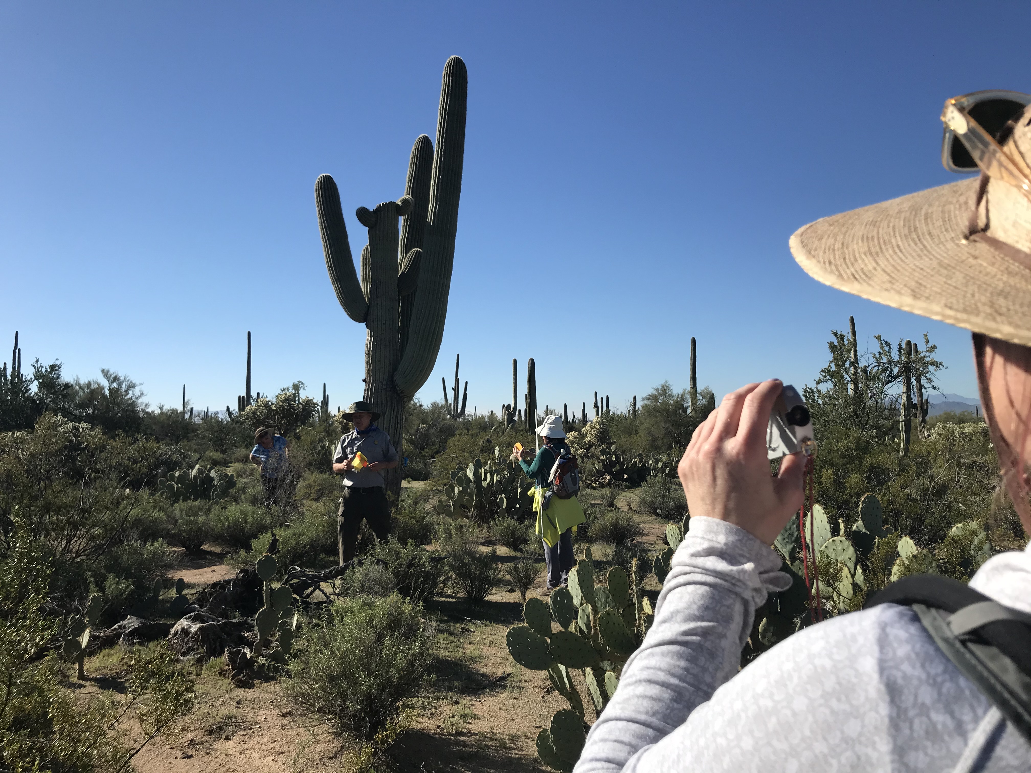Volunteers work together to collect field data