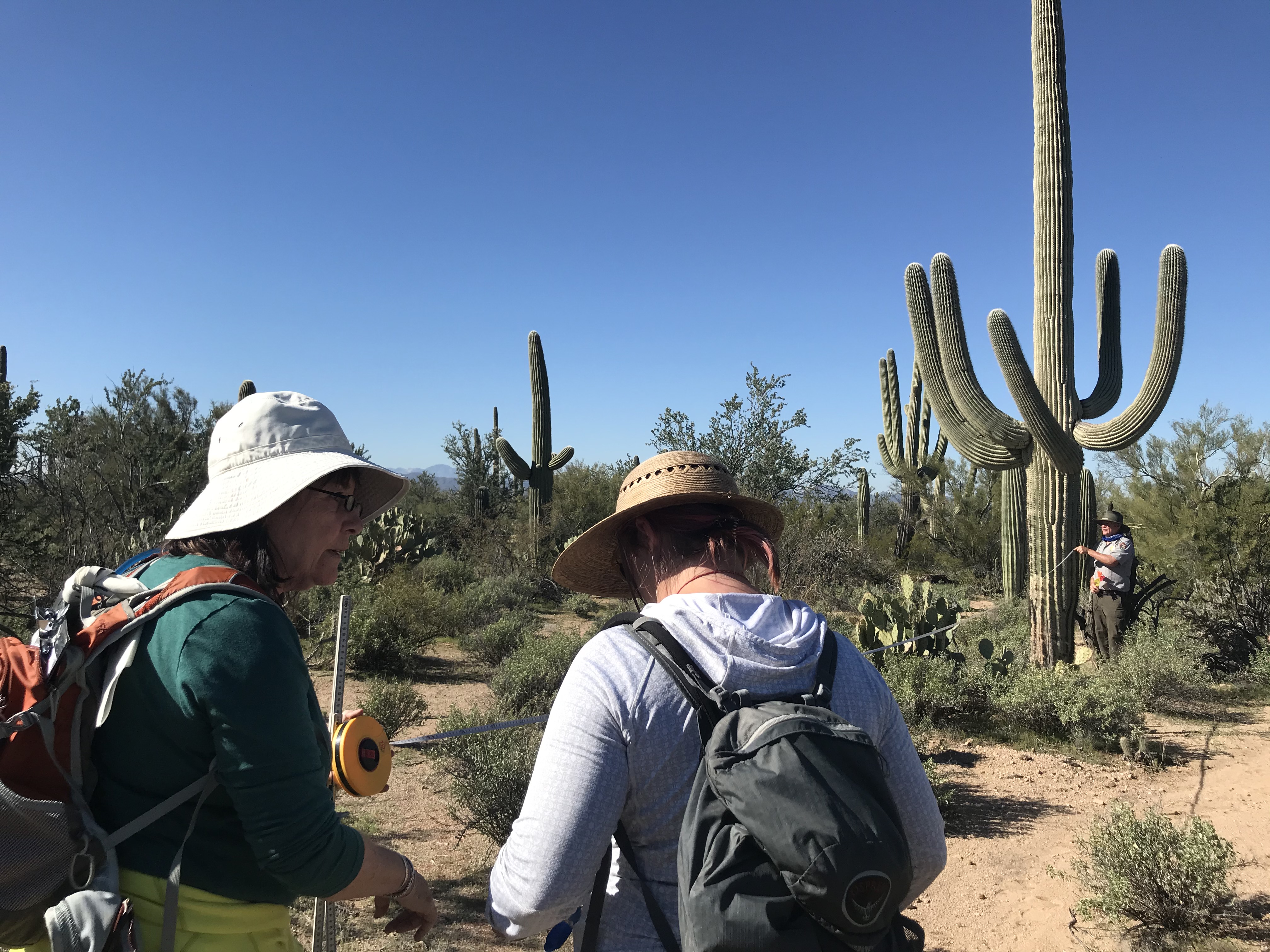 Volunteers work together to collect field data