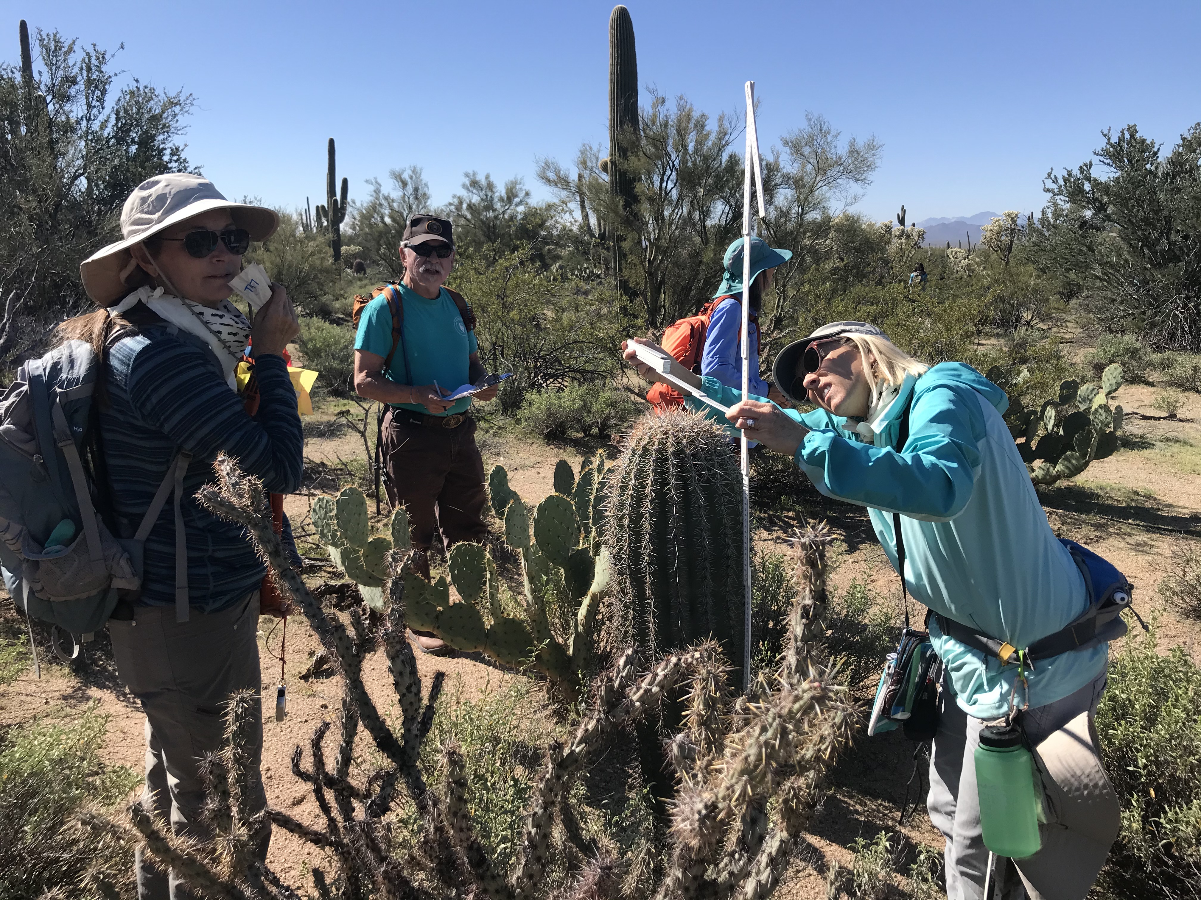 Volunteers work together to collect field data
