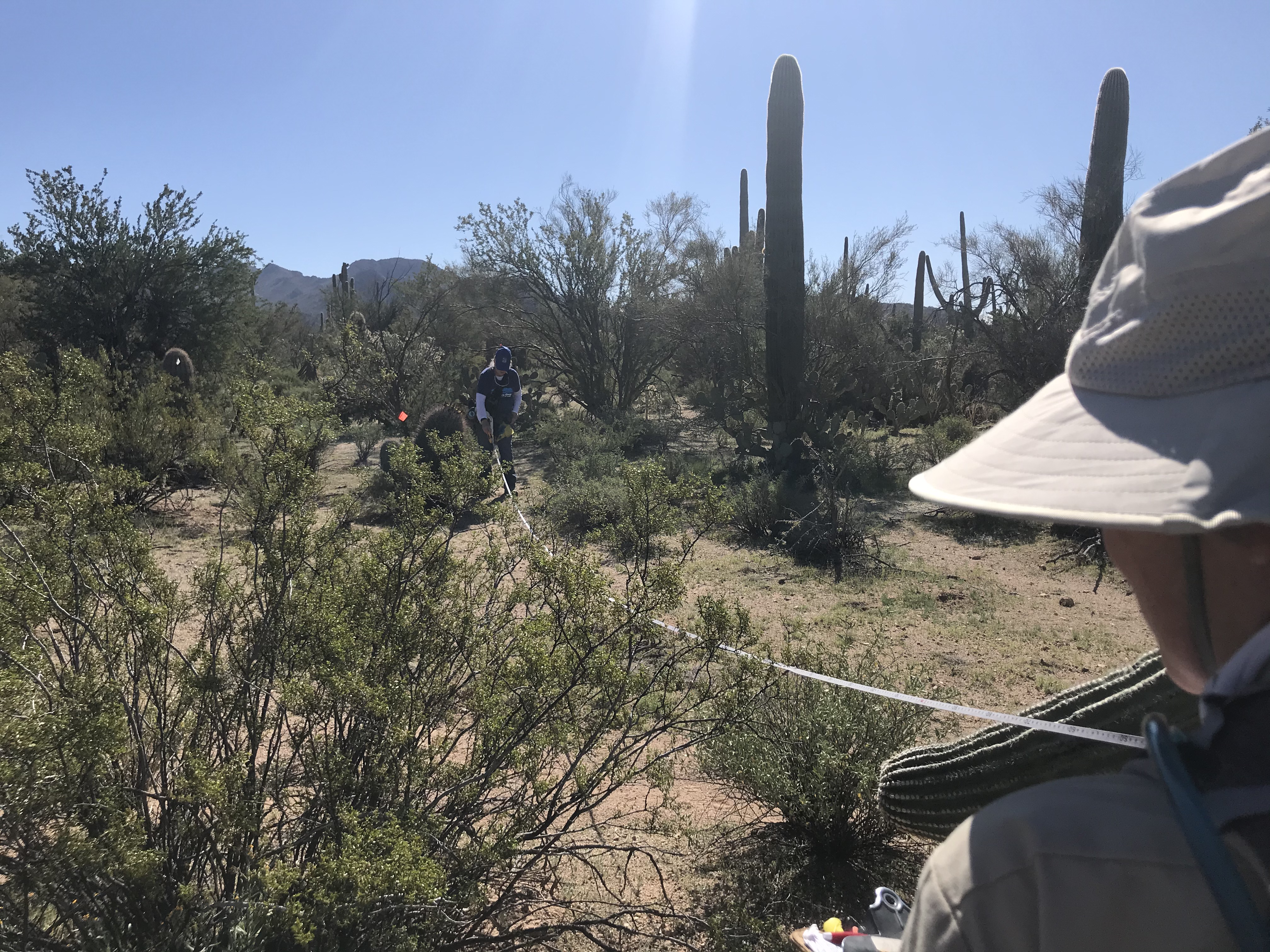 Volunteers work together to collect field data