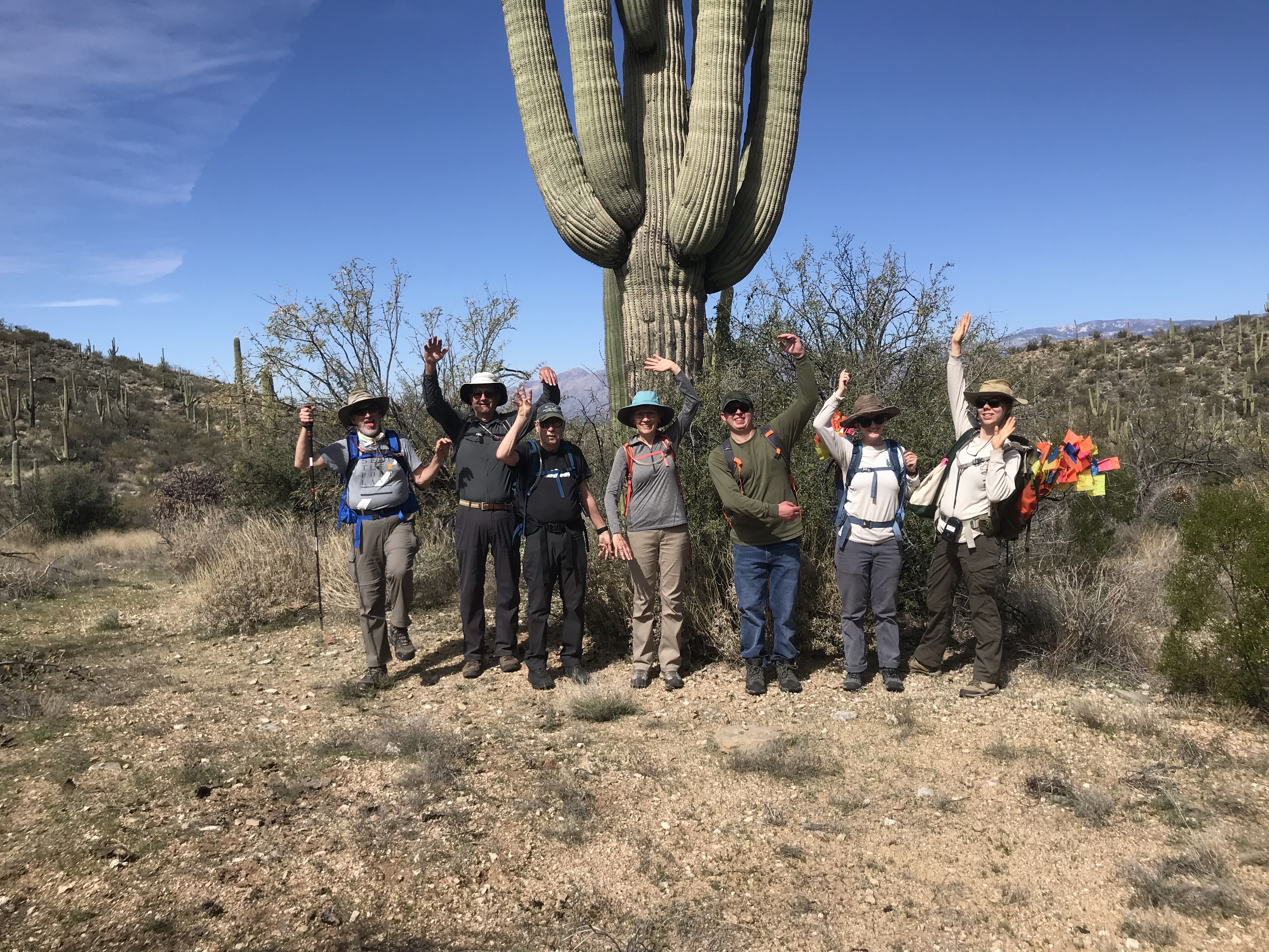 Volunteers and park staff posing like a saguaro.