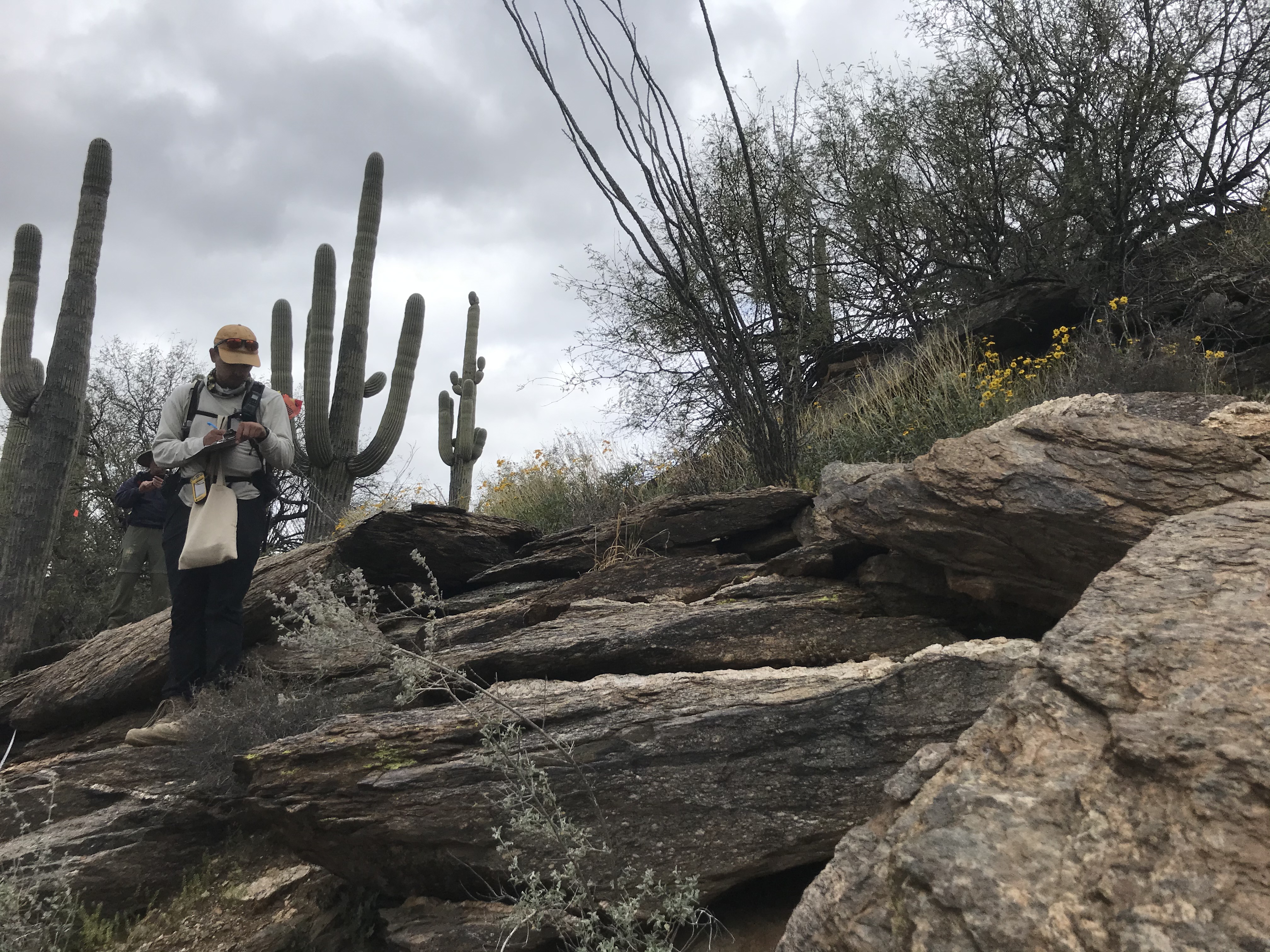 Park staff helps take field data