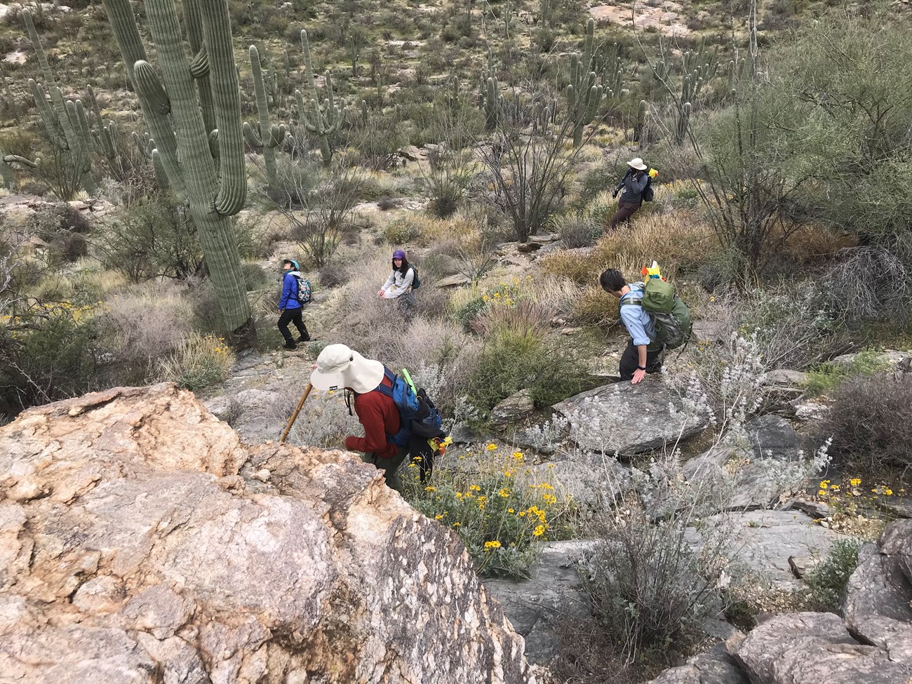 Adventure Scientists navigate desert terrain to collect data