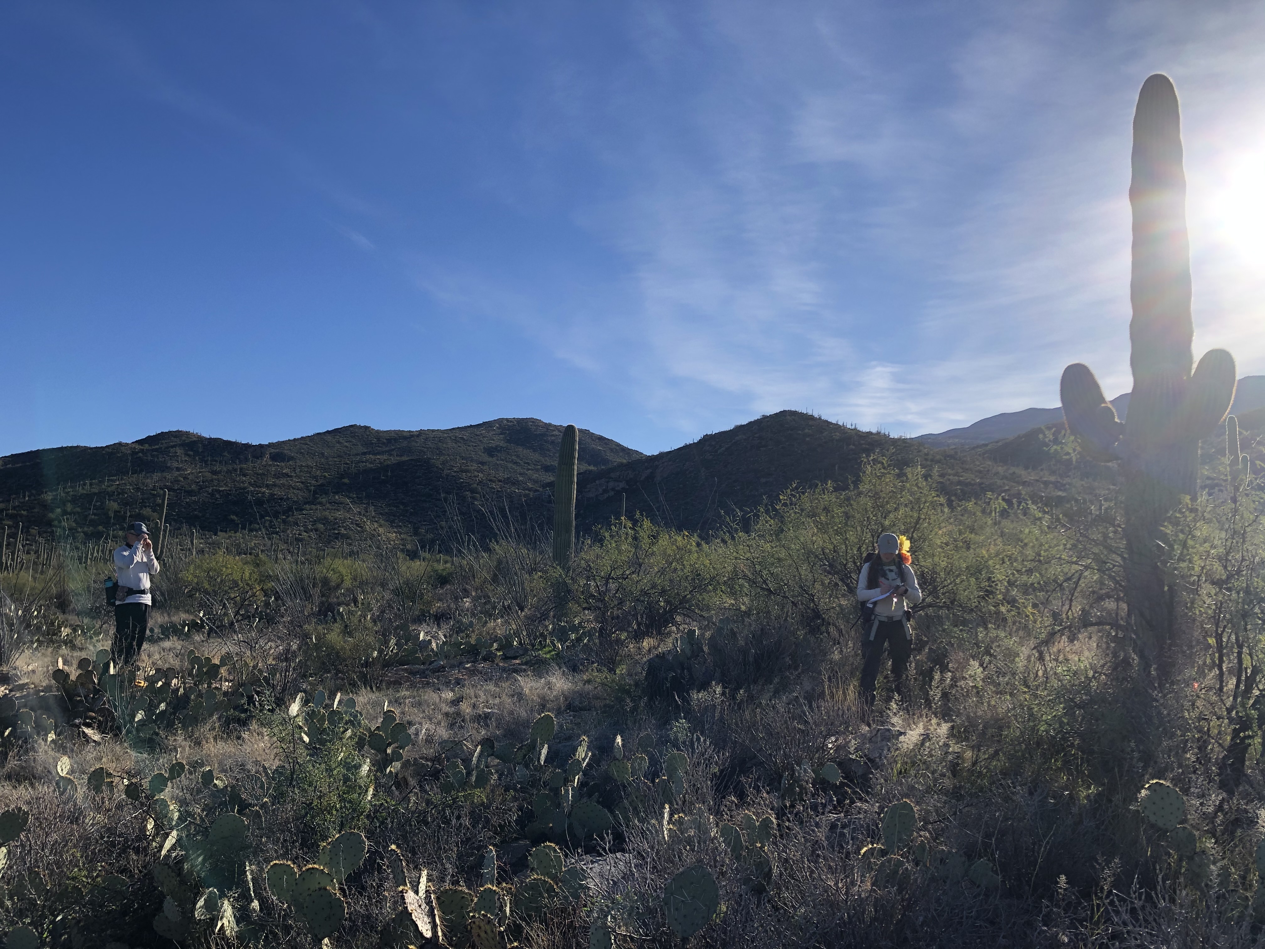 A volunteer and park staff on the plot. One of them is using a clinometer while the other one is writing down data.