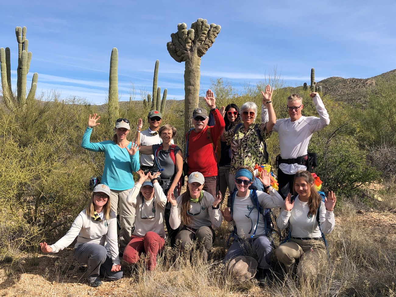 Volunteers and park staffs posing like a saguaro.