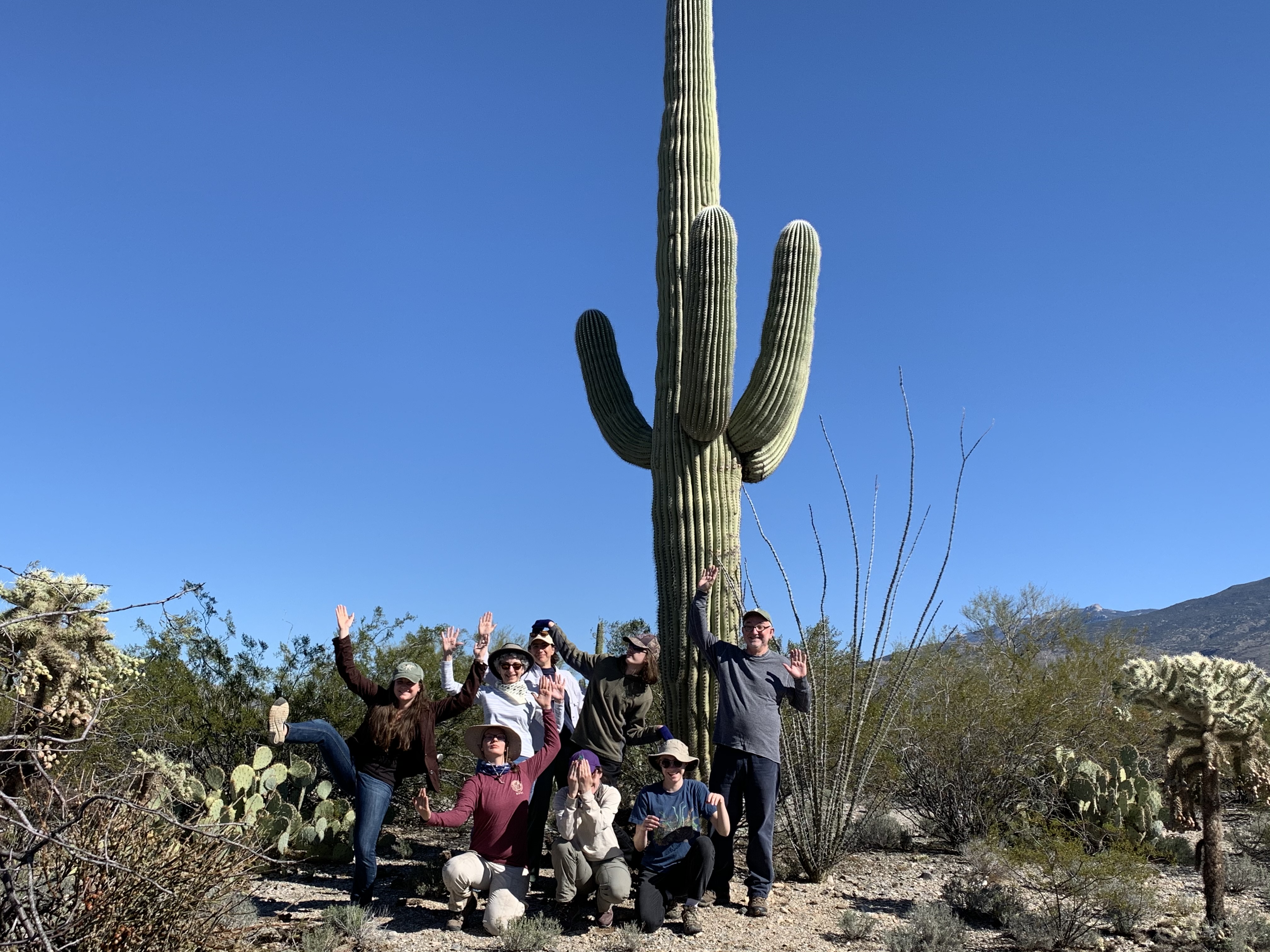 Volunteers and park staff posing like a saguaro.