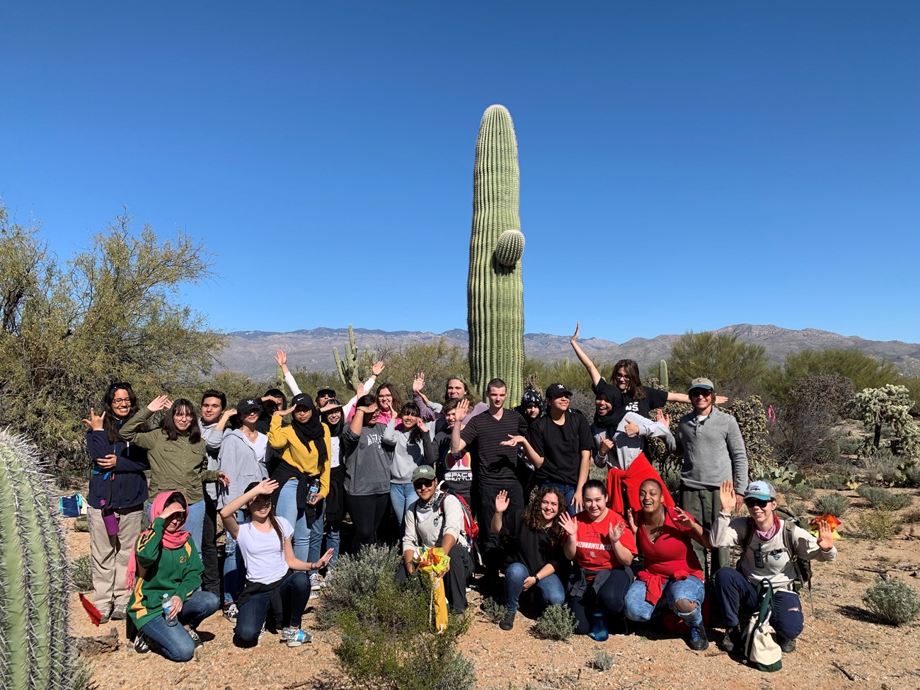Student volunteers and park staff posing like a saguaro.