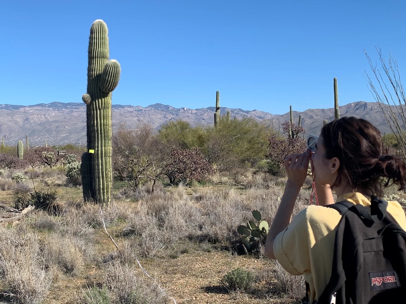 Student uses clinometer Student uses clinometer