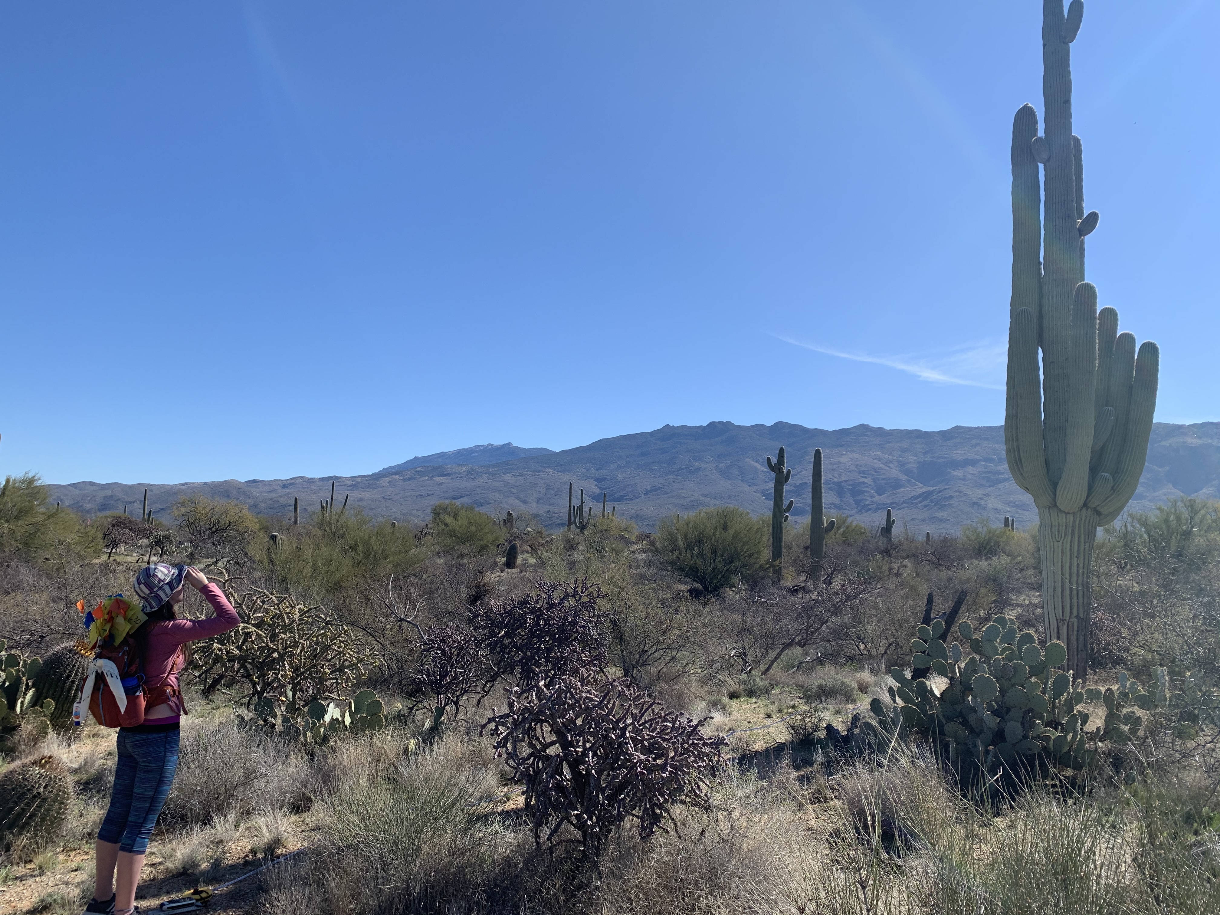 Student uses clinometer